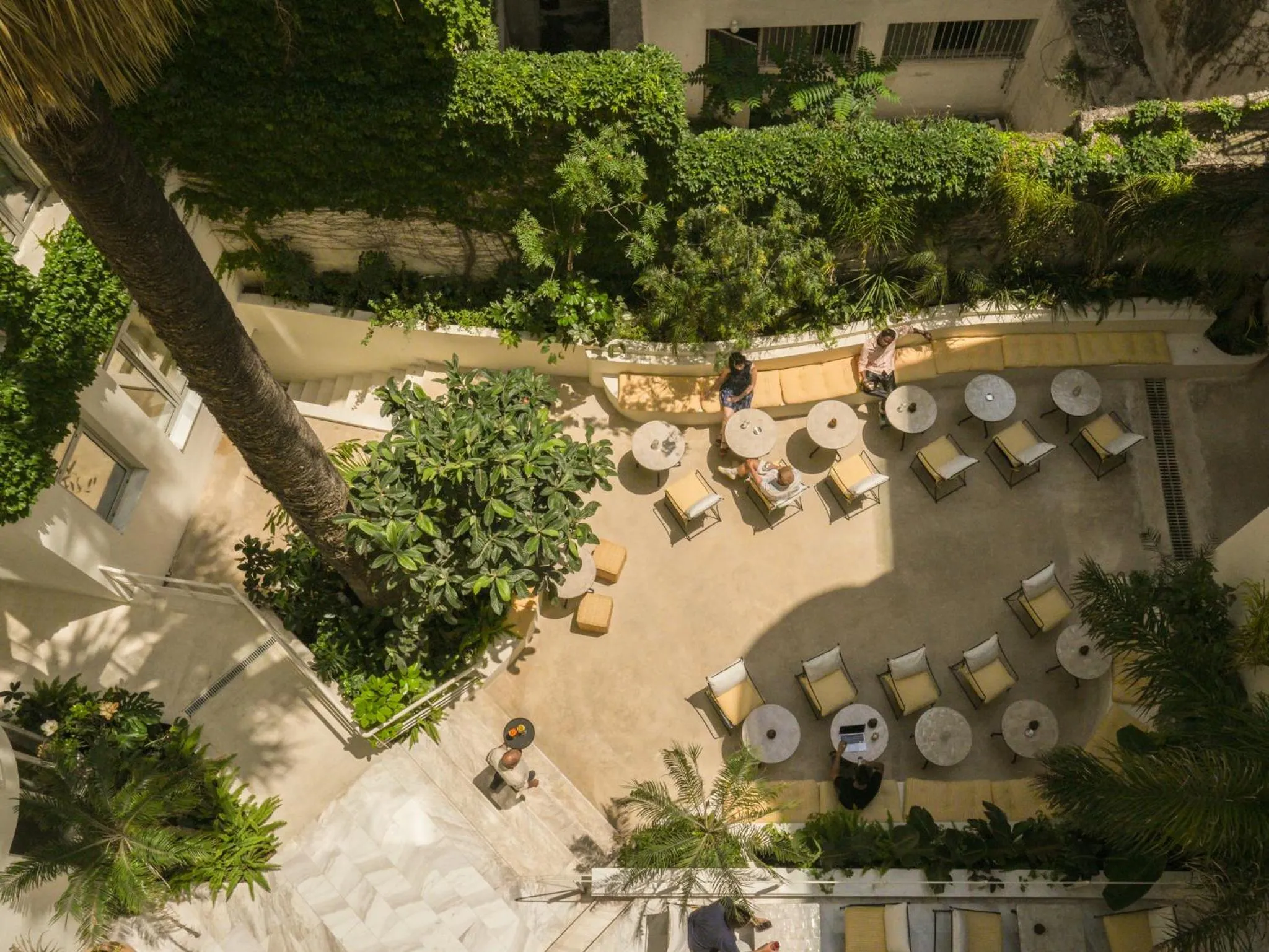 Garden in Apollo Palm Hotel