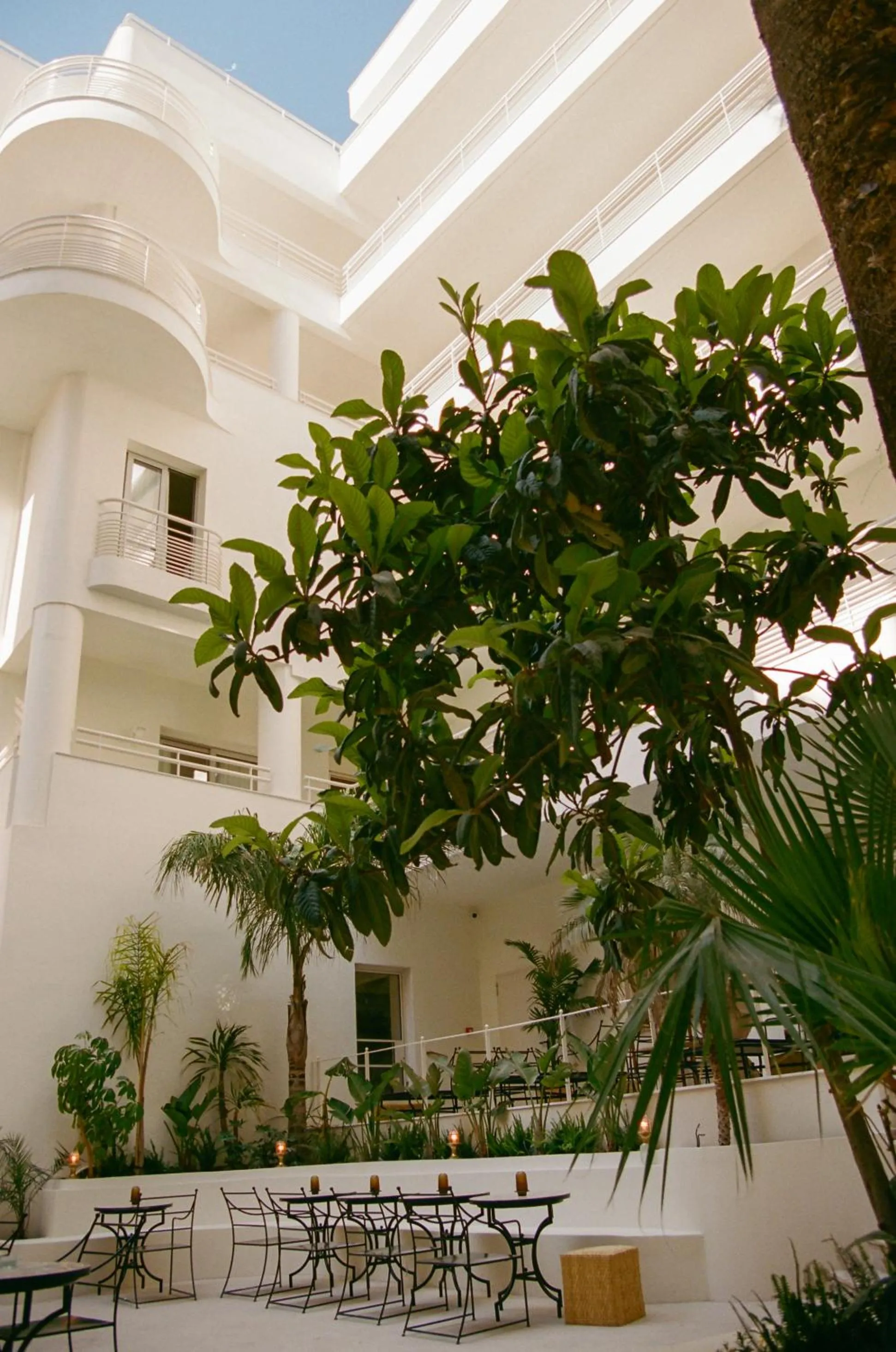 Garden view in Apollo Palm Hotel