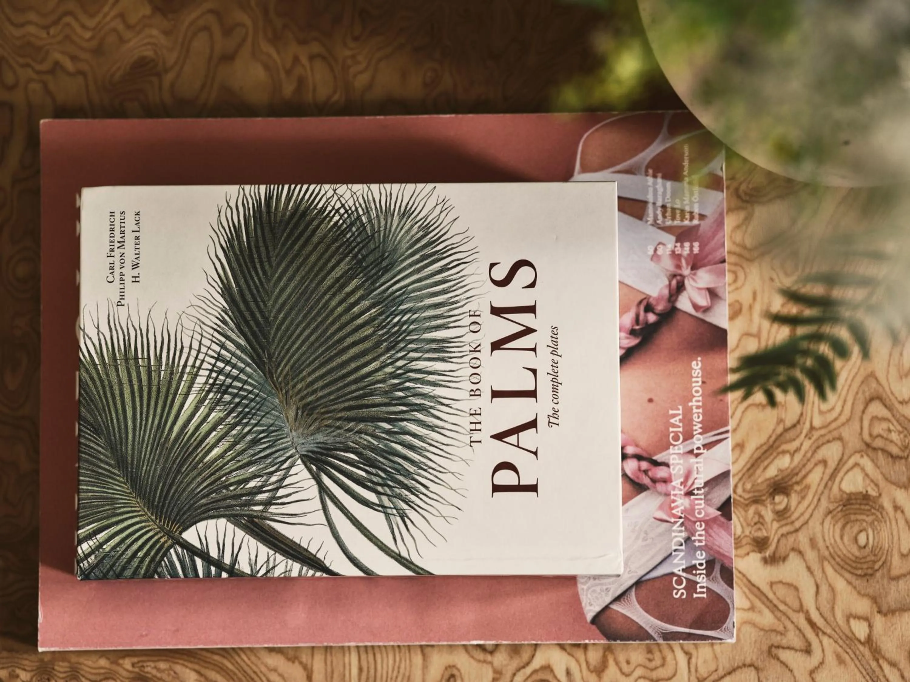 Text overlay in Apollo Palm Hotel