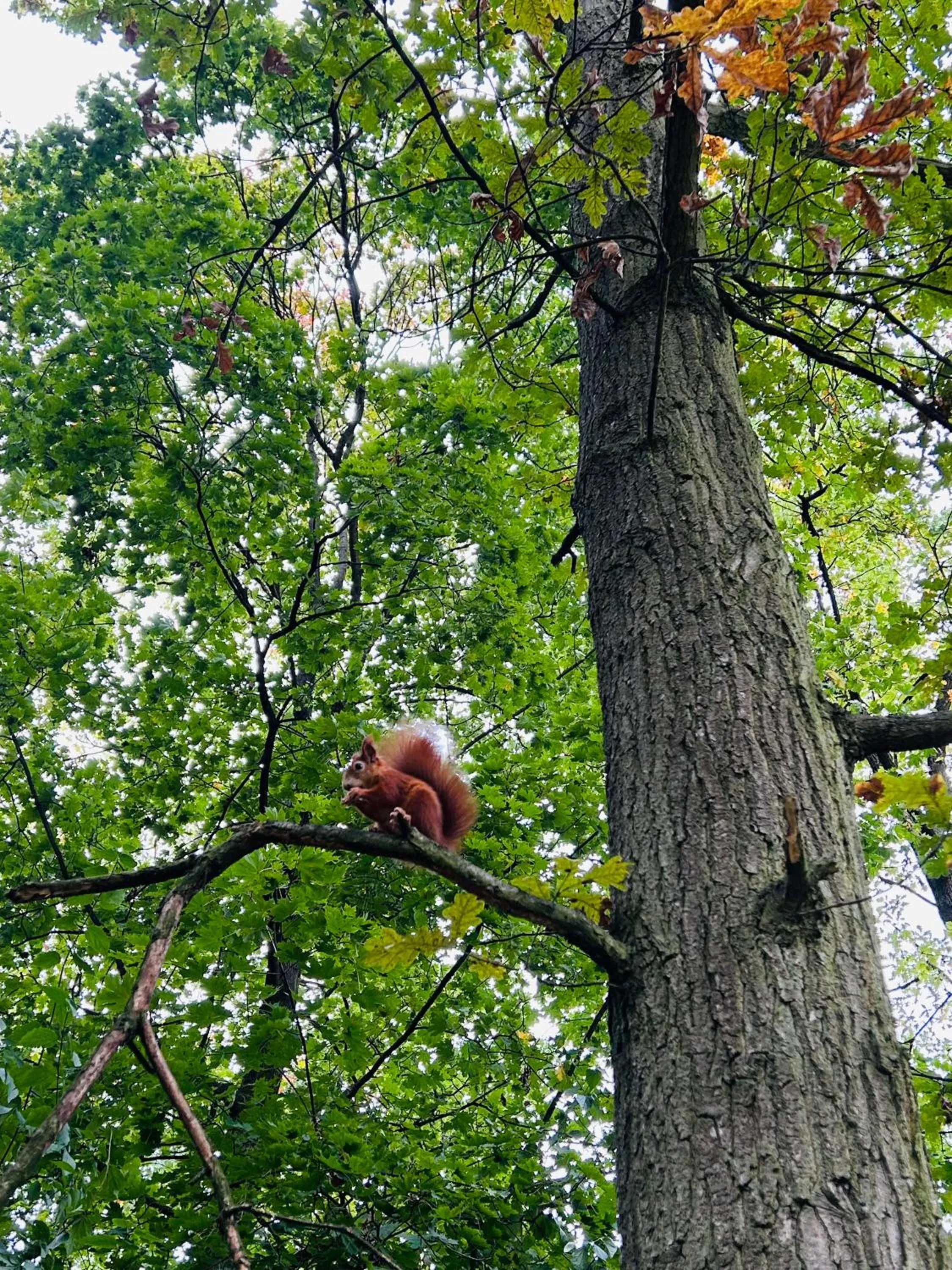 Nearby landmark in Aparthotel Na Klenici