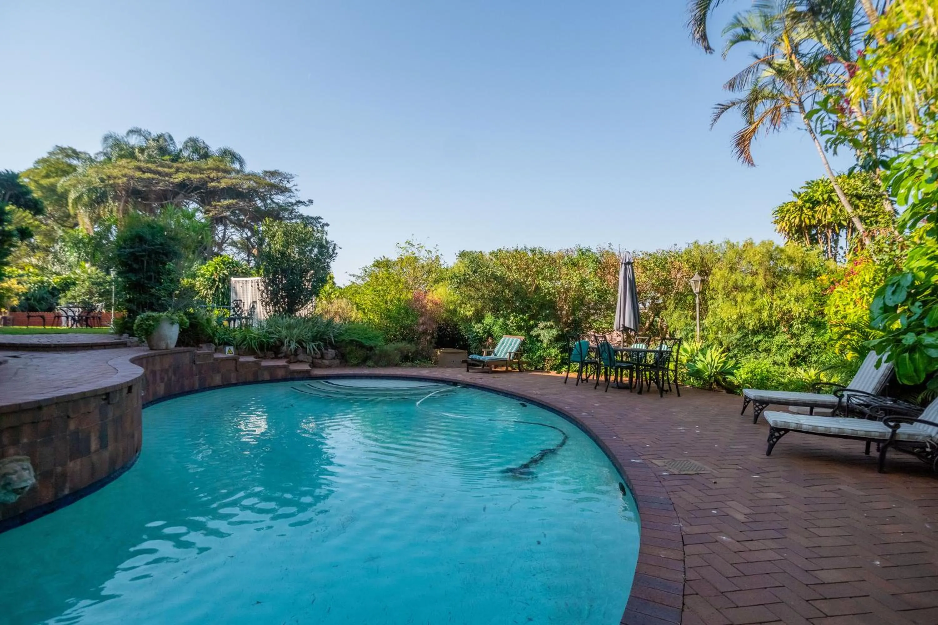 Swimming pool in Ridgeview Lodge