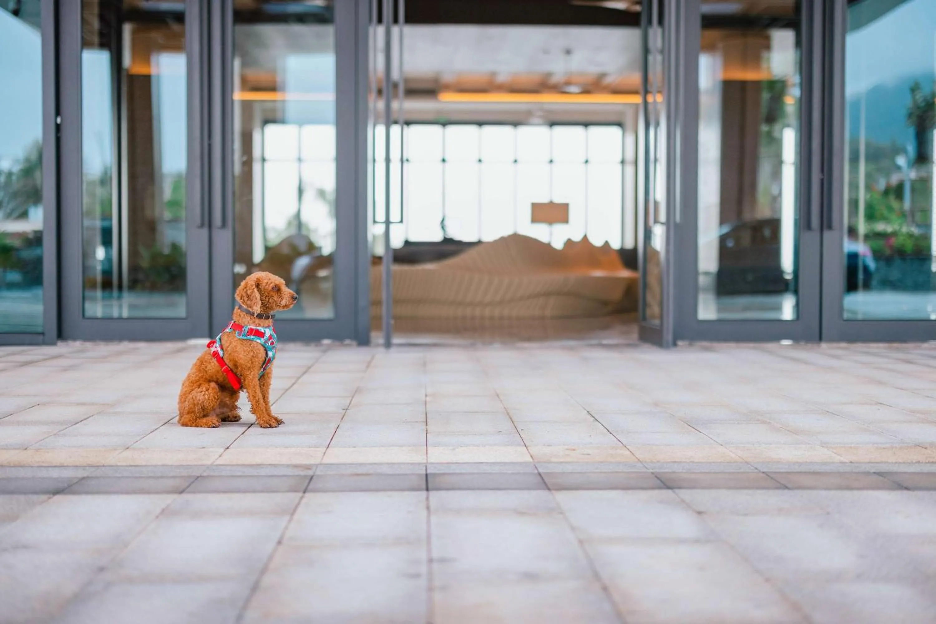 Property building in Hyatt Regency Sanya Tianli Bay