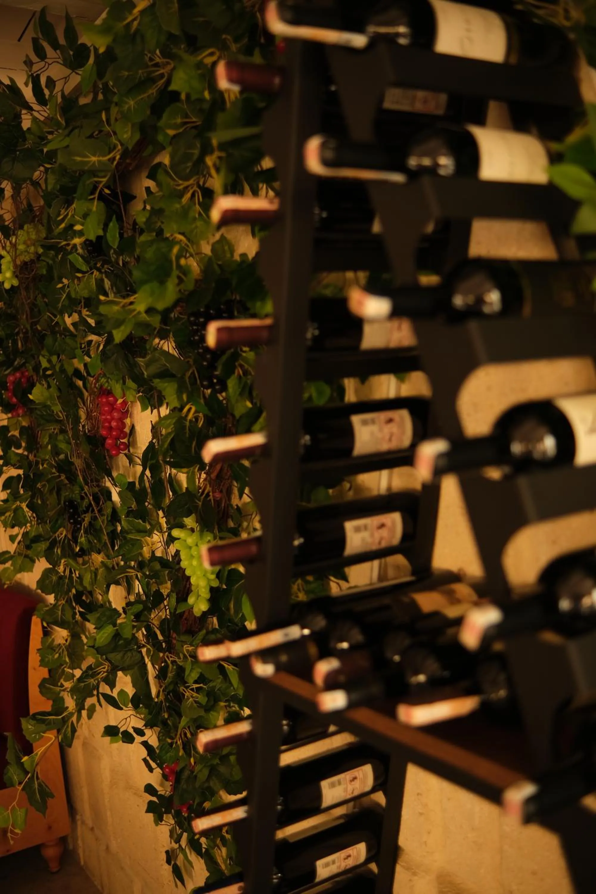 Drinks in Bala Cave House