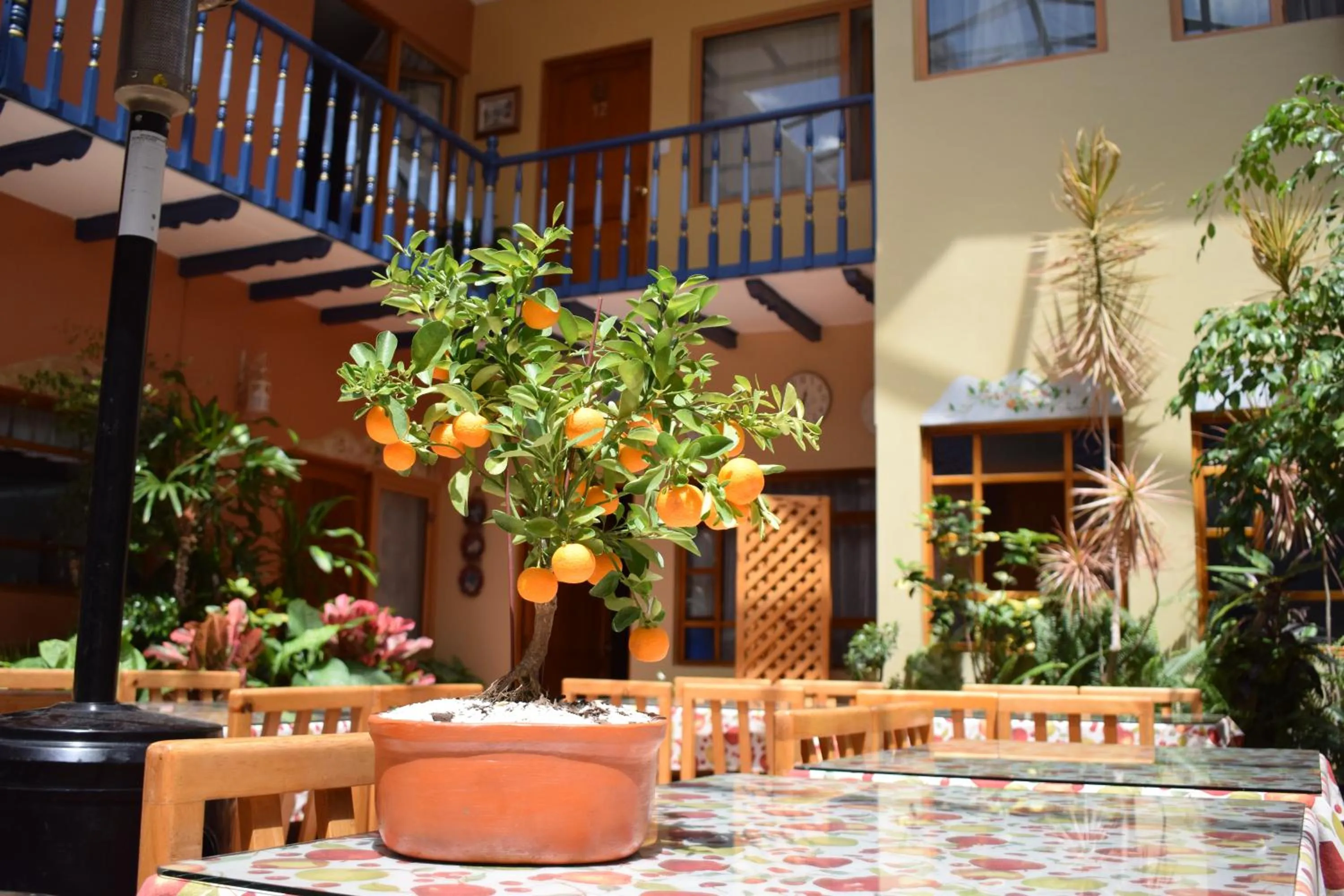 Patio in Hotel Posada del Angel