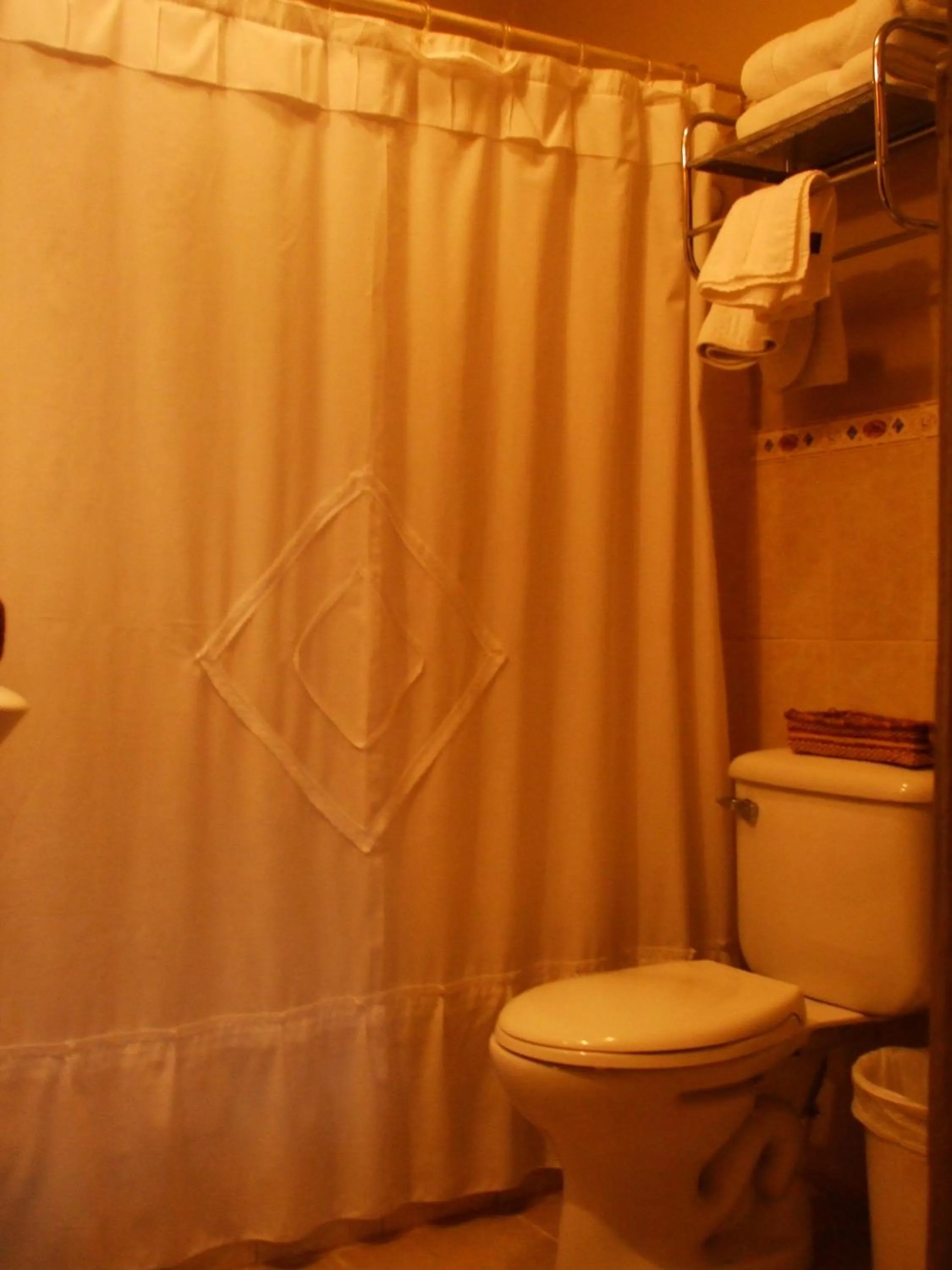 Shower in Hotel Posada del Angel