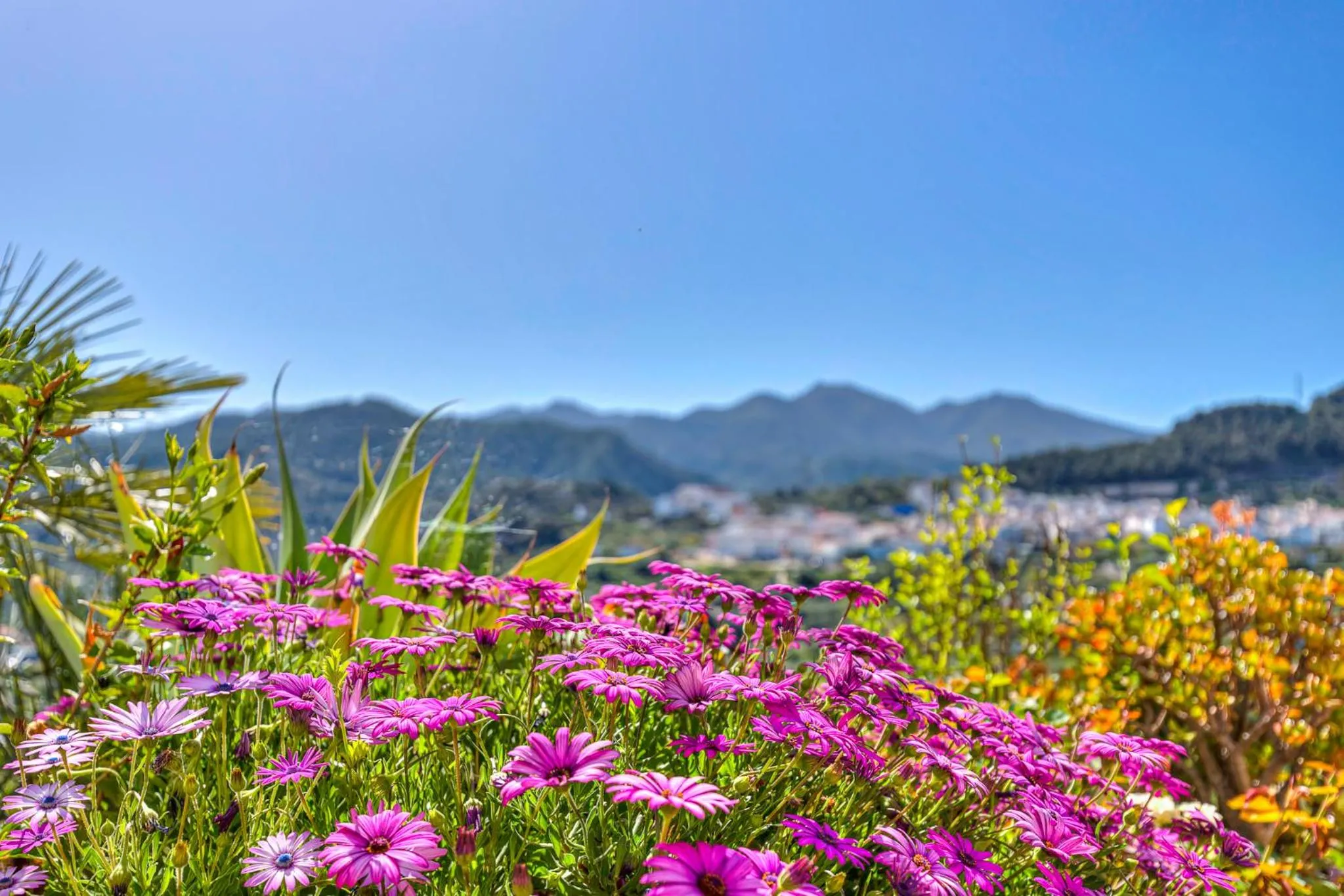 Garden in Monda Heights close to Marbella