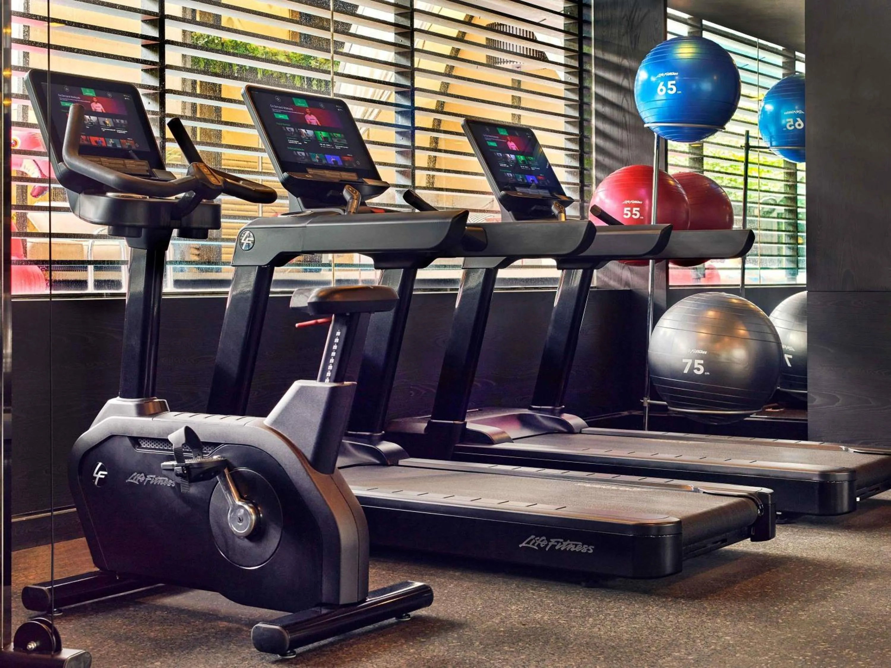 Fitness centre/facilities in Pullman Singapore Orchard