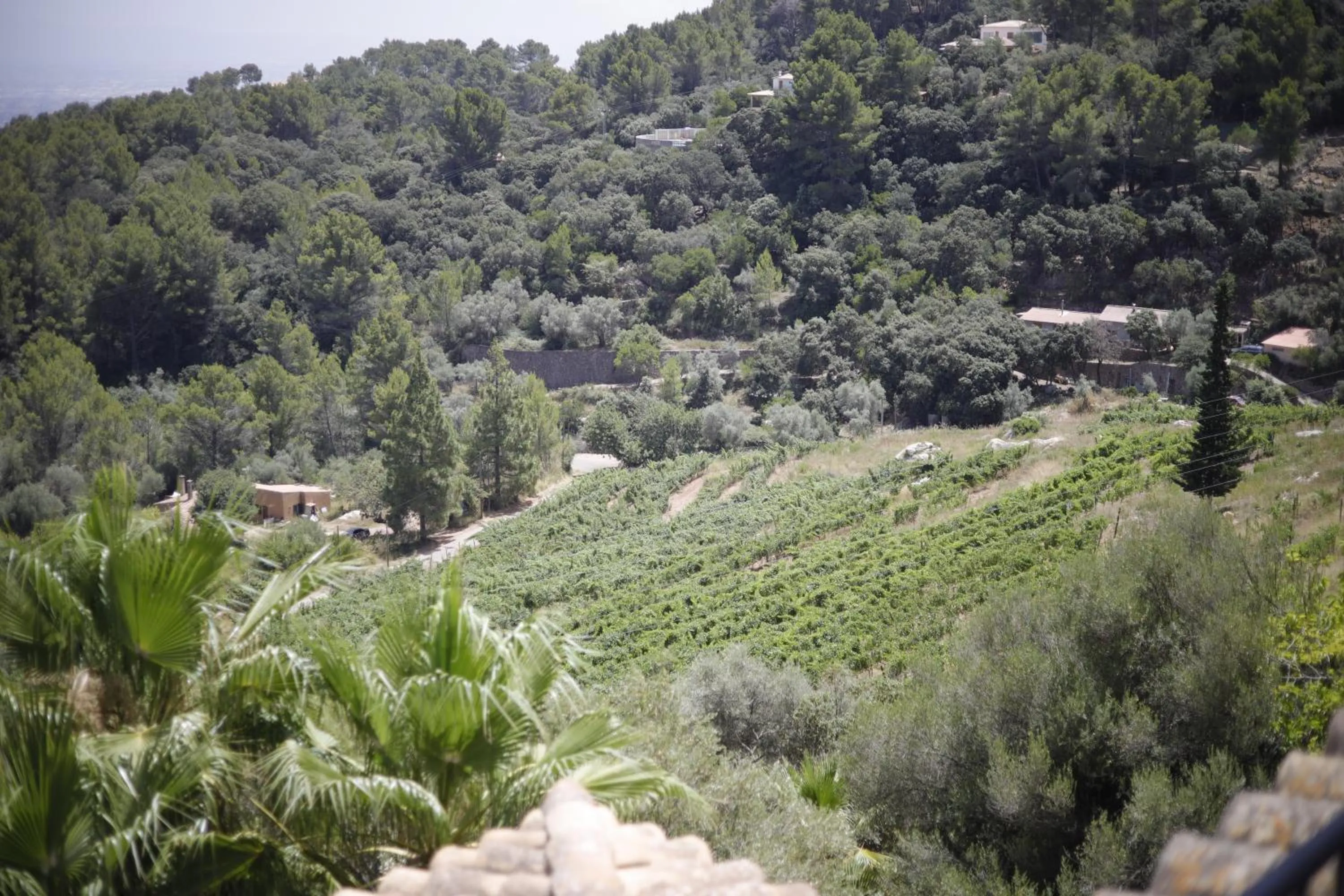 Decorative detail in Posada del Marqués