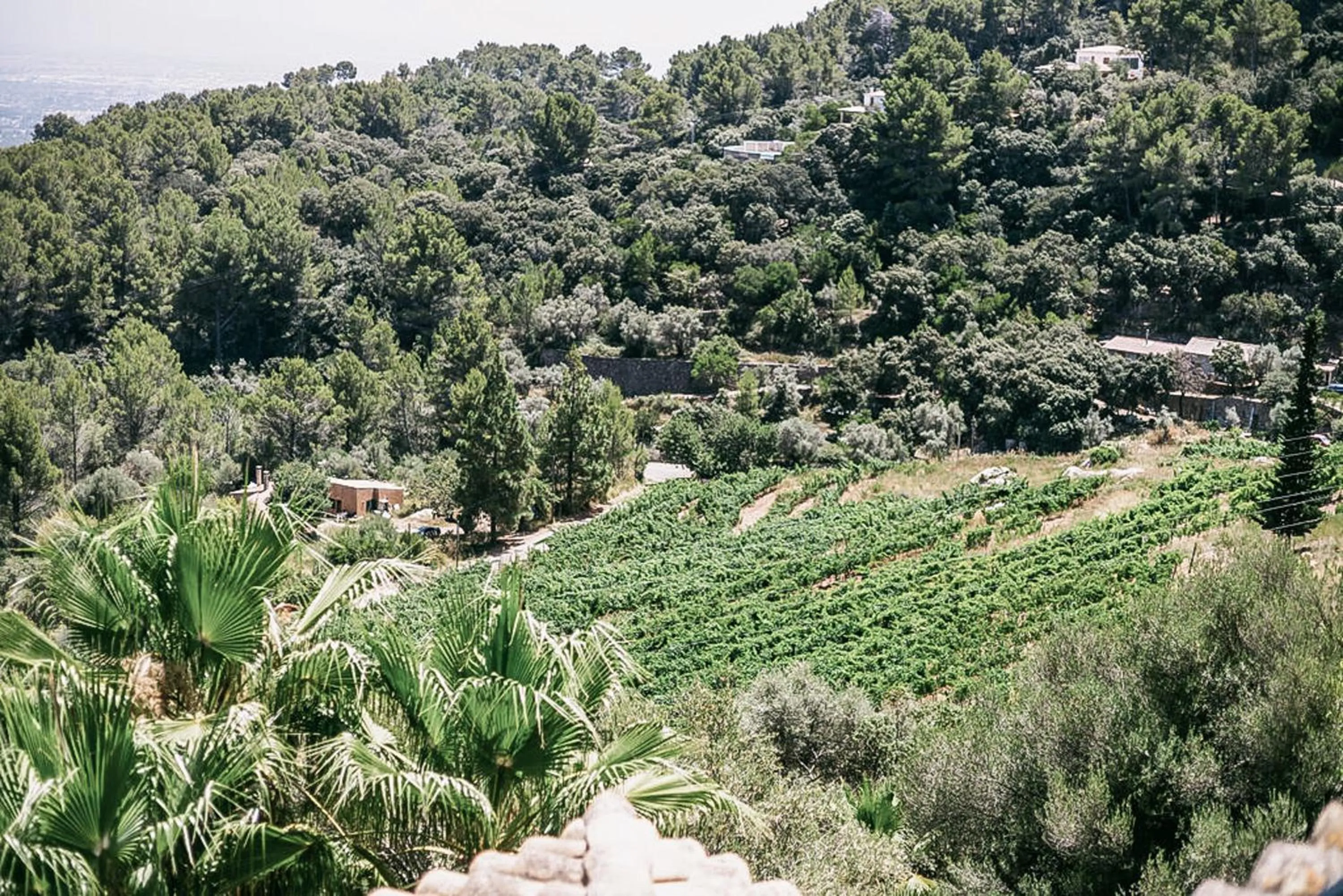 Spring in Posada del Marqués I A Slow Design Hotel