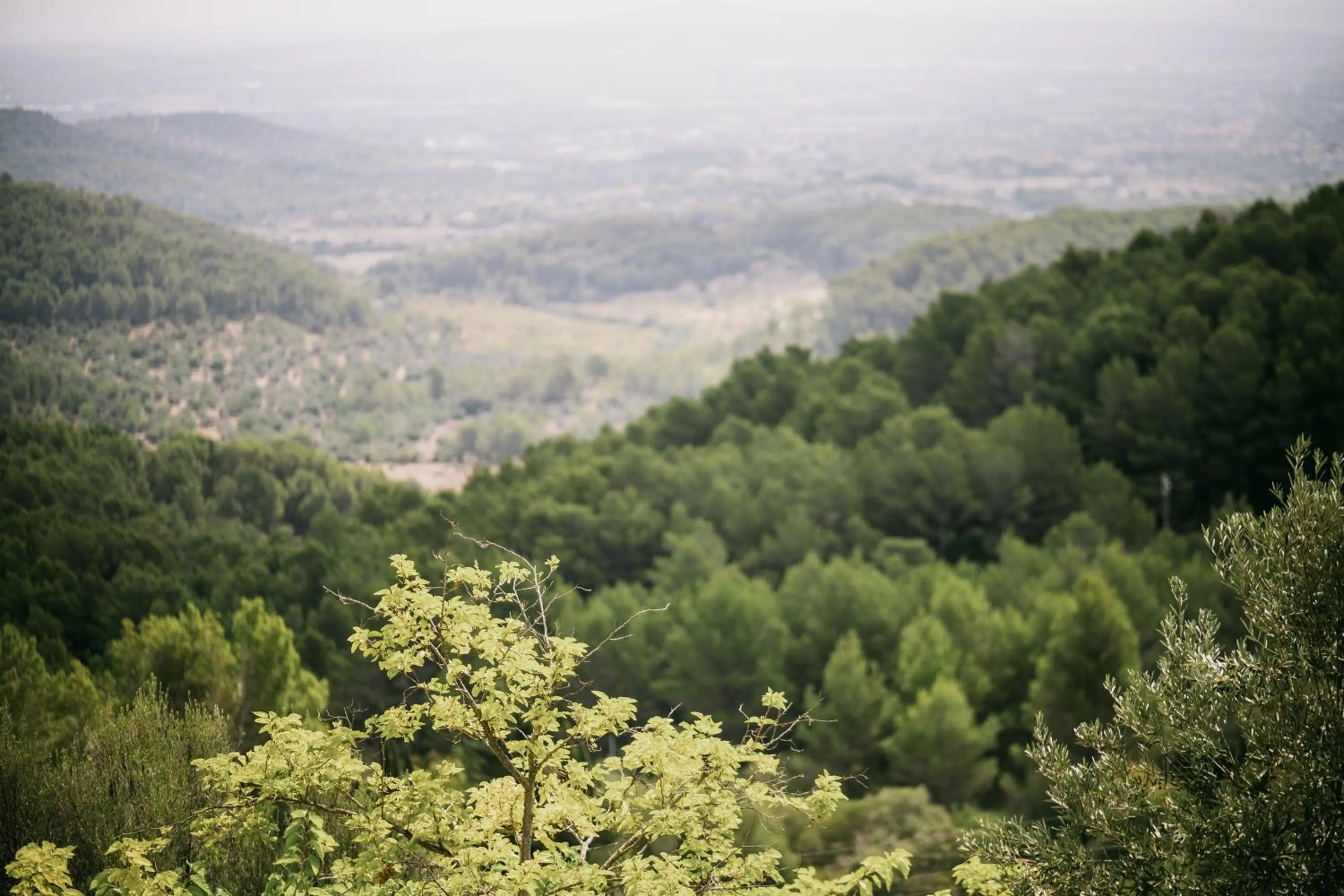 View (from property/room) in Posada del Marqués