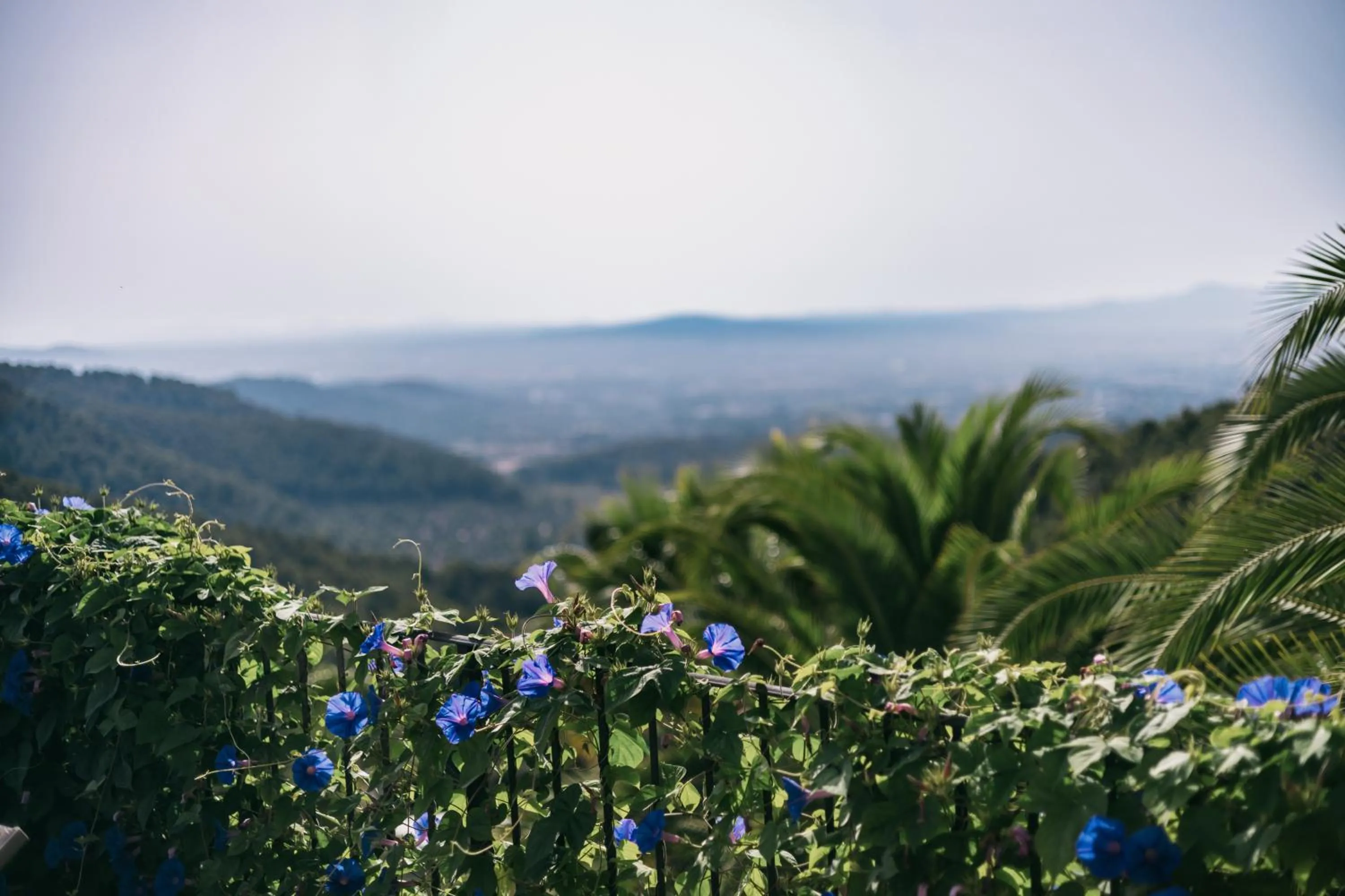 Day in Posada del Marqués