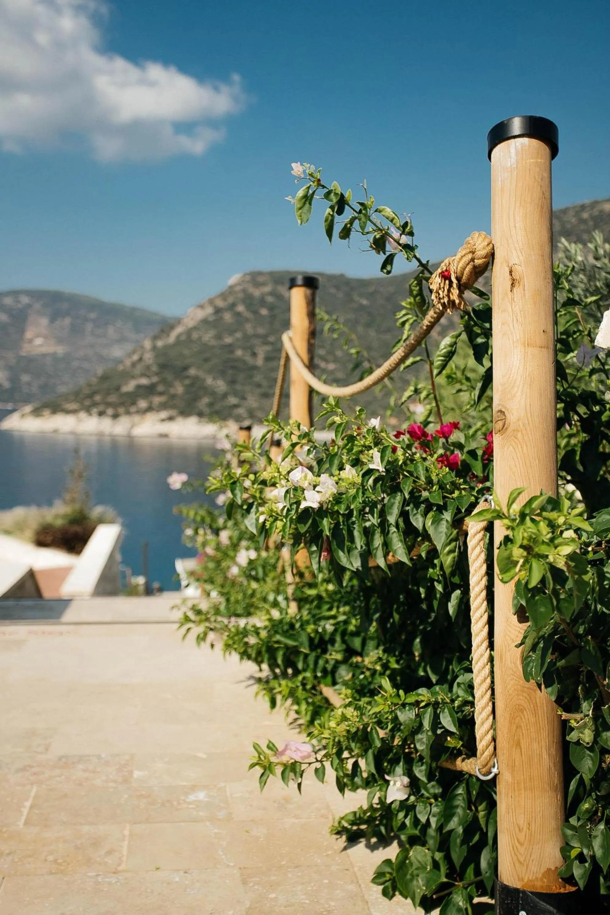 Garden in Lures Hotel