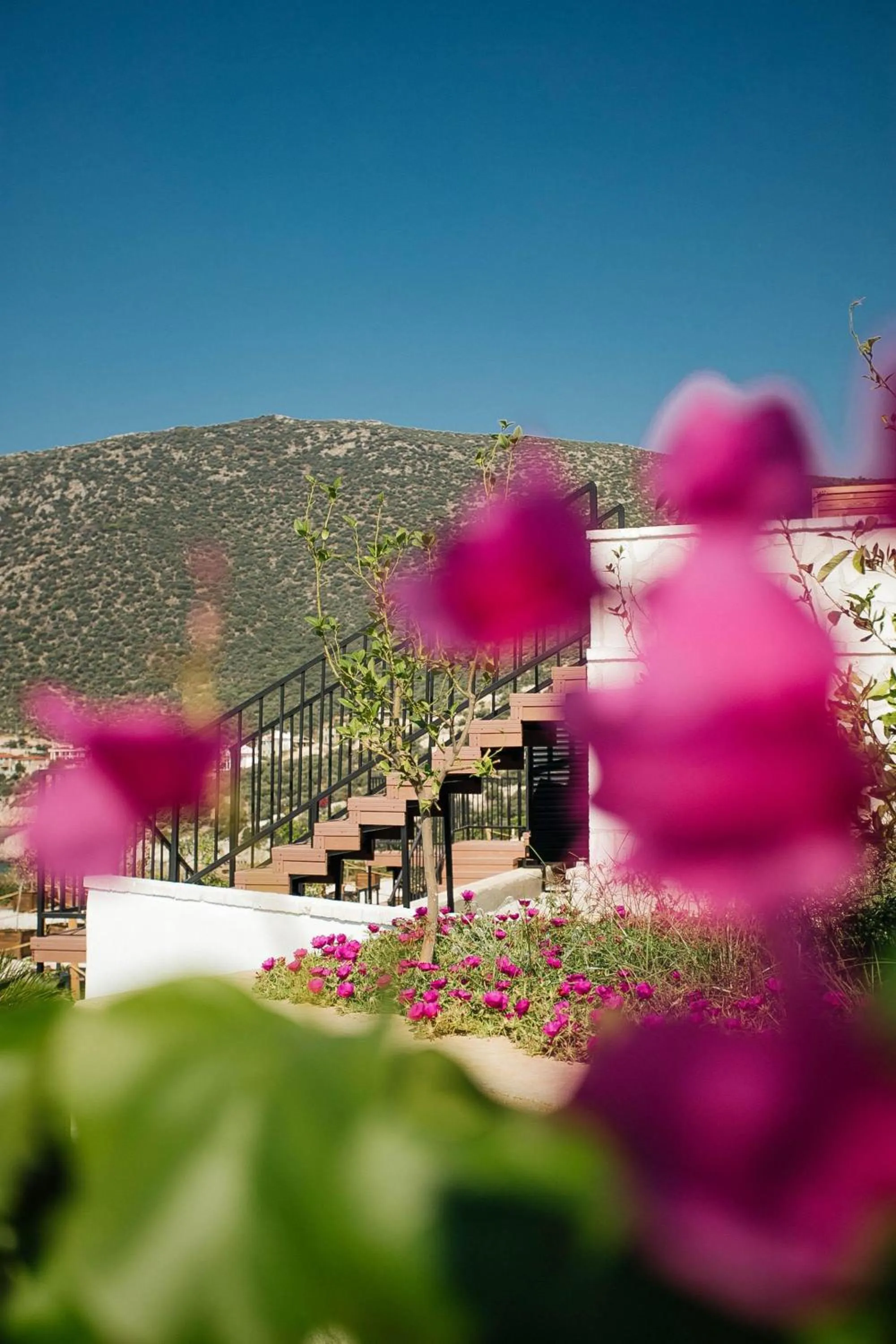 Property building in Lures Hotel