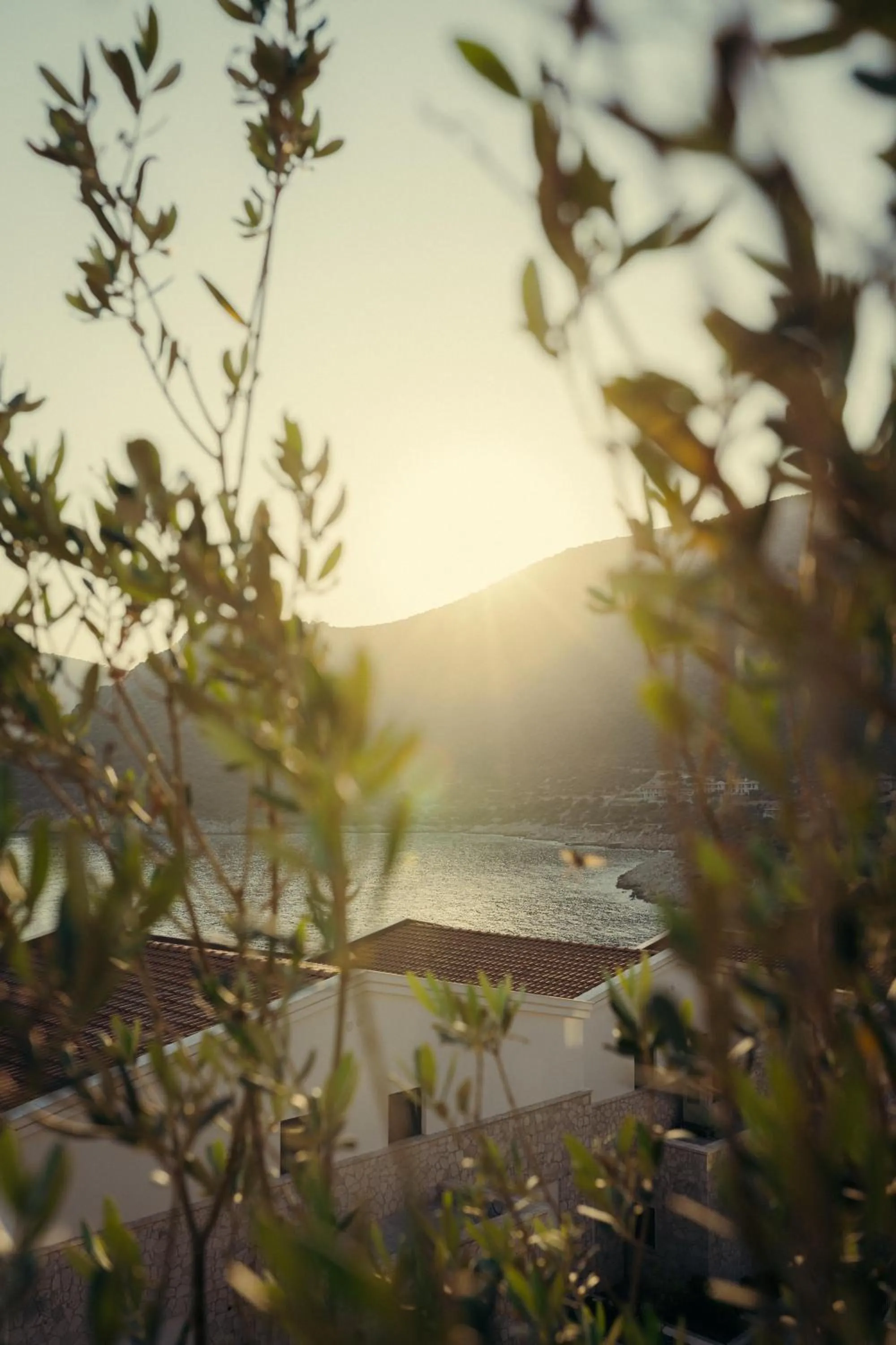 Property building in Lures Hotel