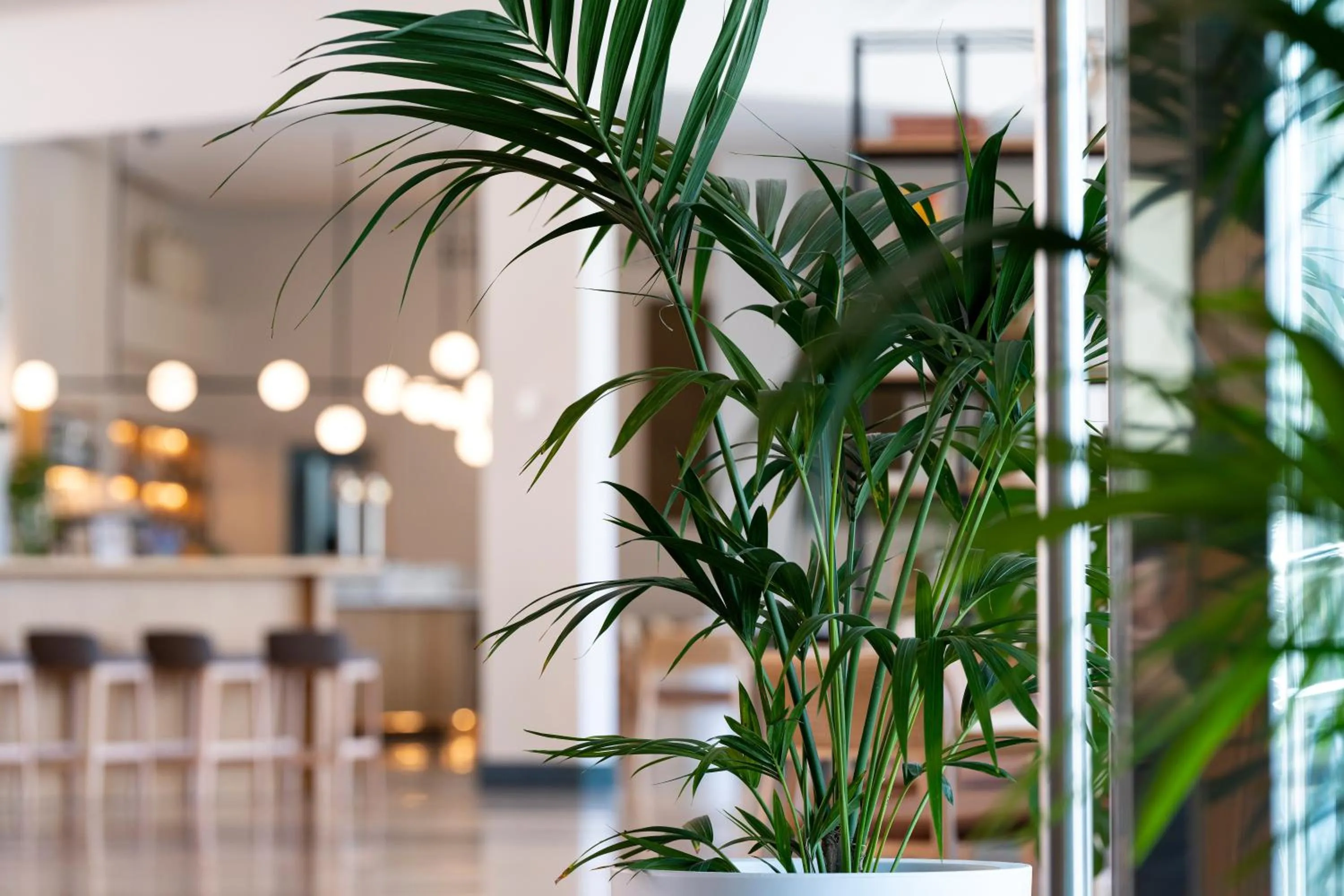 Area and facilities in Hotel Antequera Hills