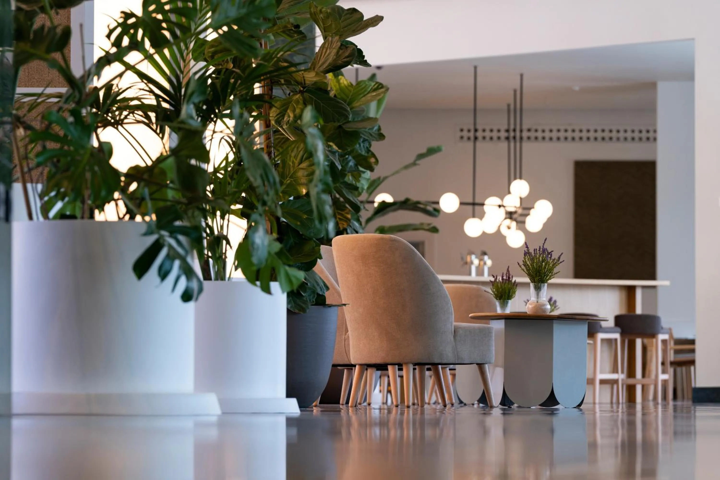 Lobby or reception in Hotel Antequera Hills