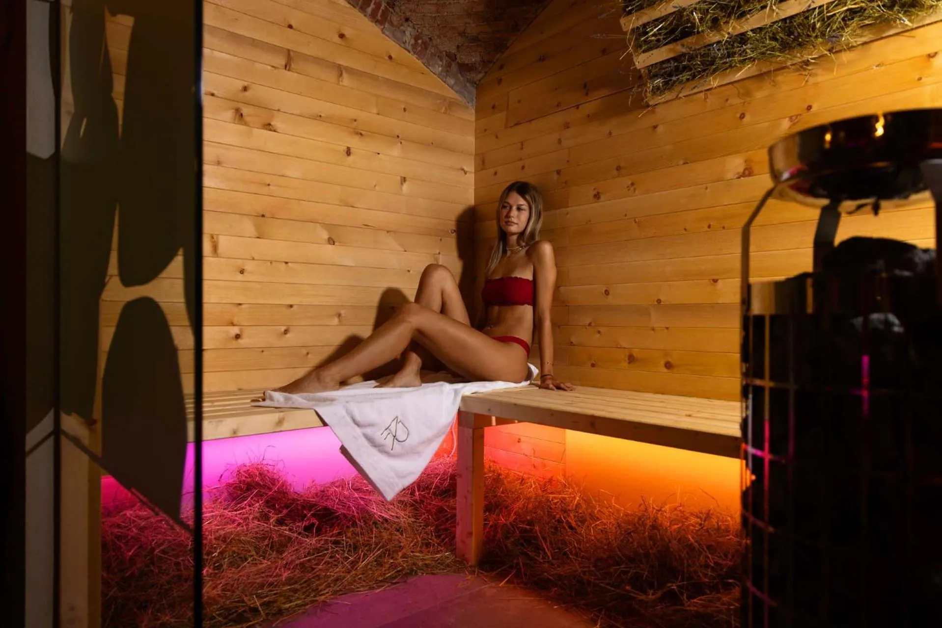 Sauna in AR Prestige Penthouse - TriBeCa Loft