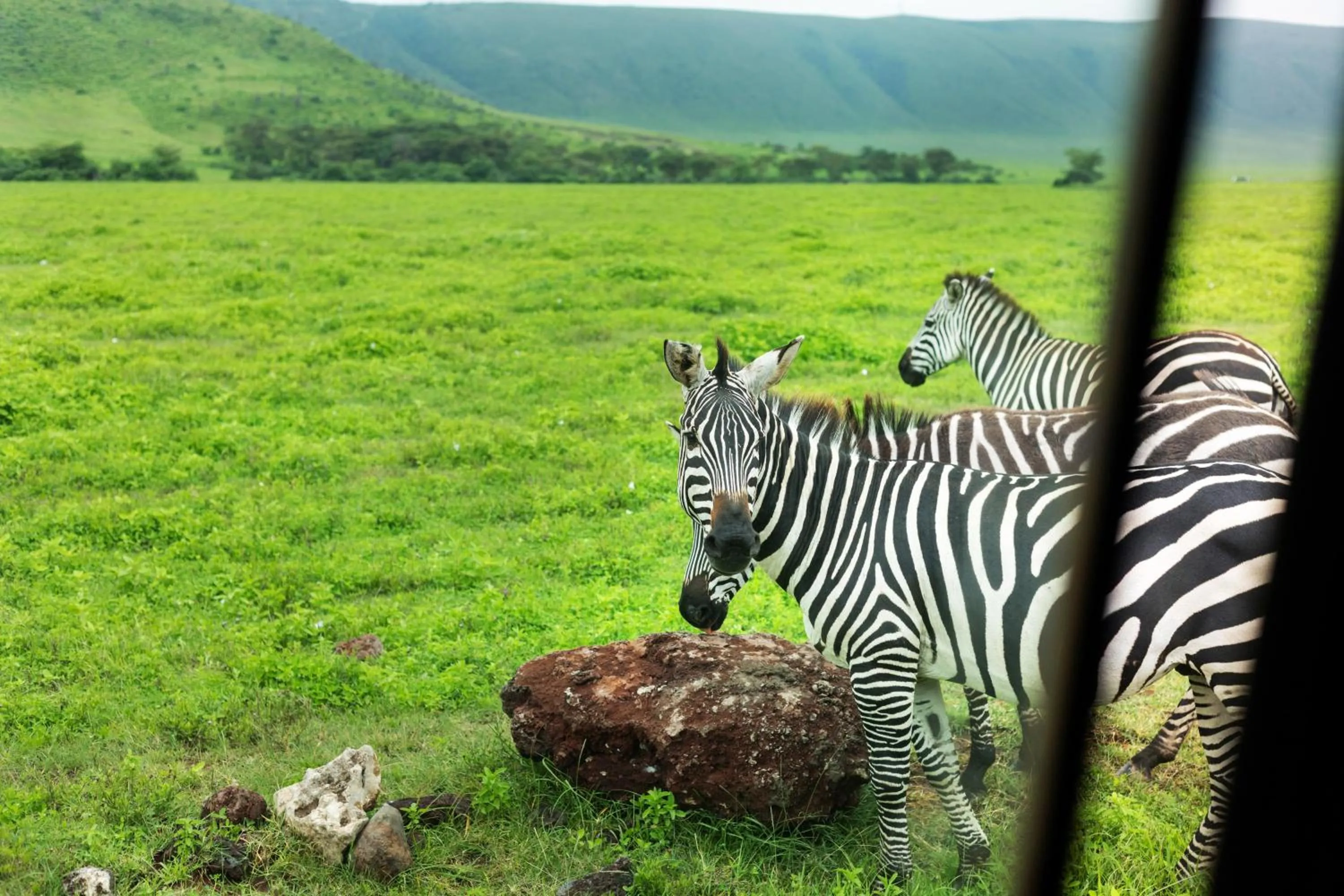Day in Ngorongoro Lodge member of Melia Collection - The Leading Hotels of the World