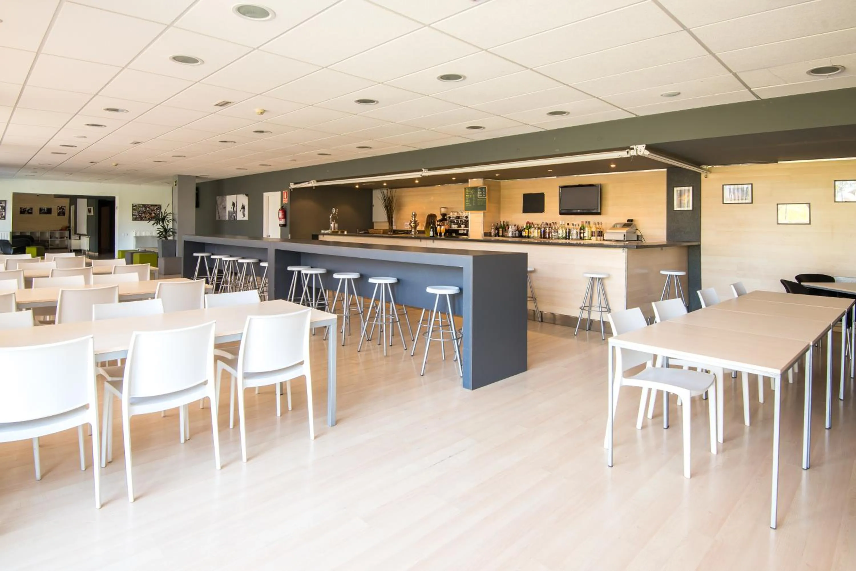 Lounge or bar in Campus Cerdanya