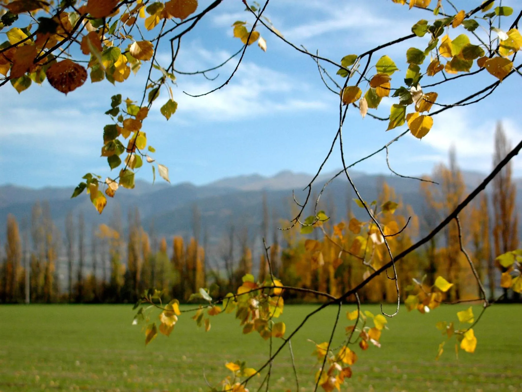 Area and facilities in Campus Cerdanya
