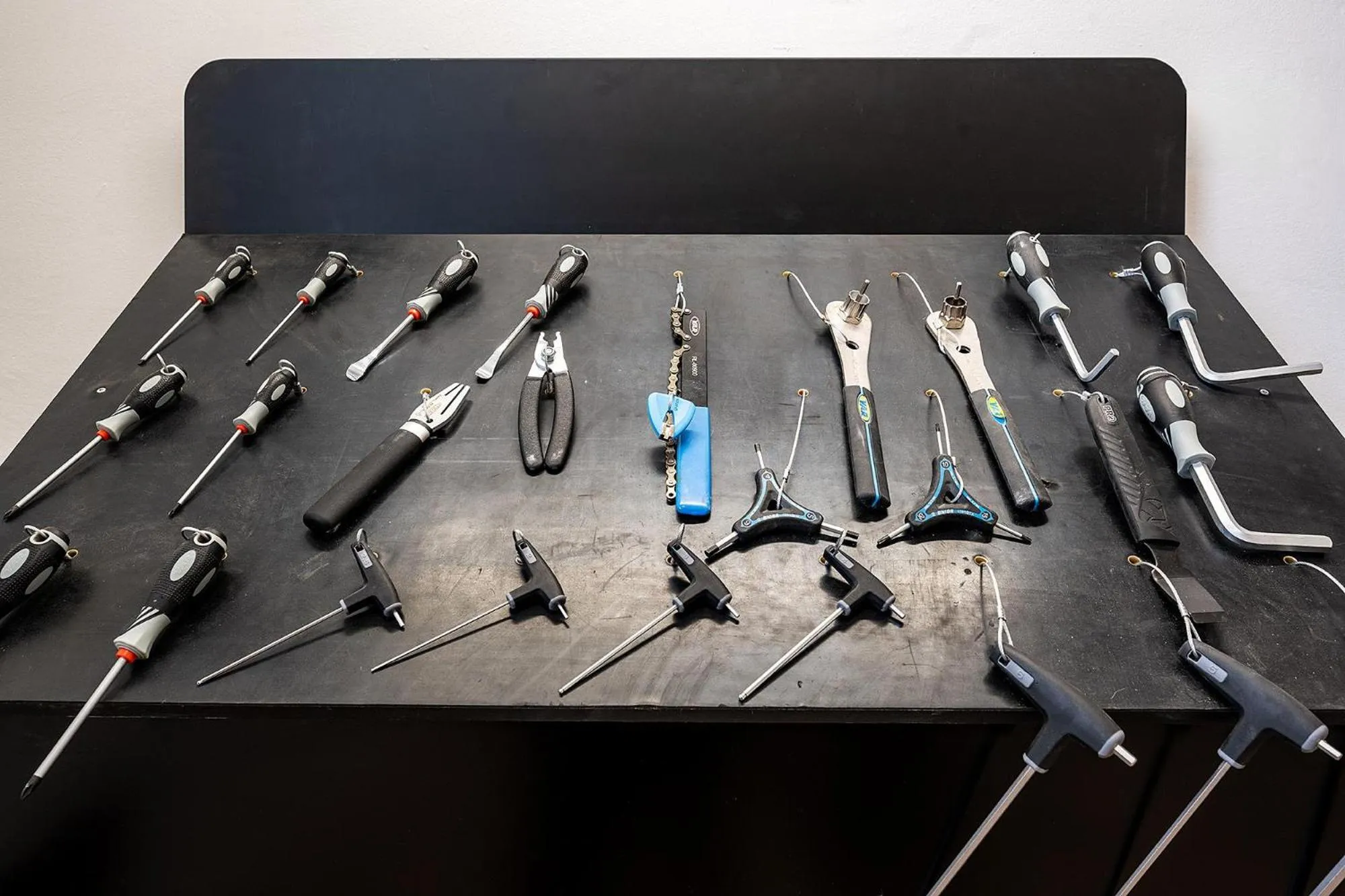 Activities in Hotel Playas de Guardamar