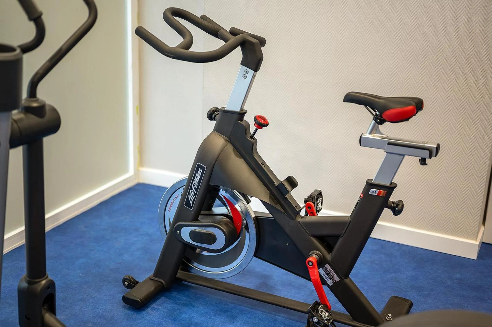 Activities in Hotel Playas de Guardamar