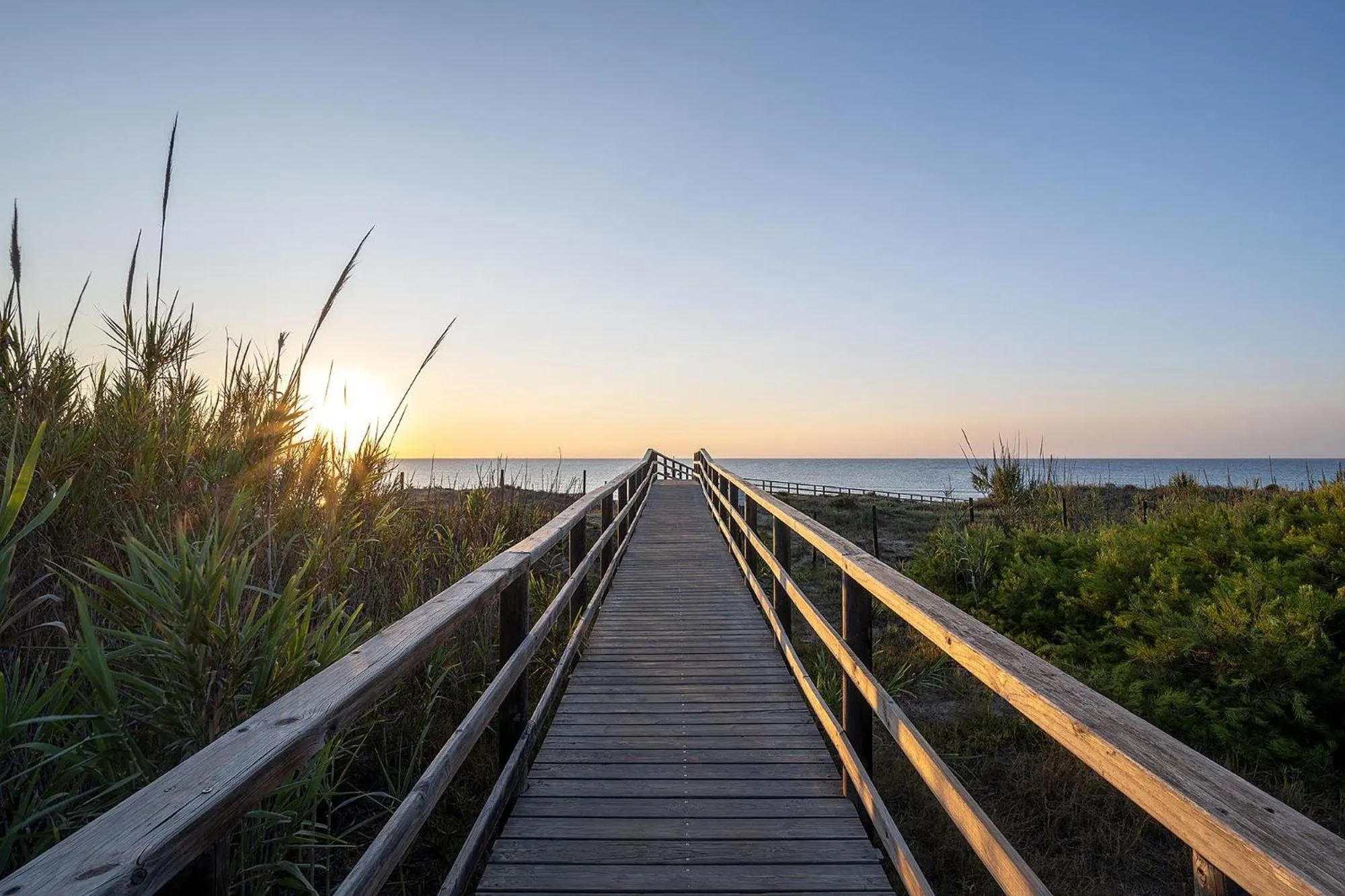 Natural landscape in Hotel Playas de Guardamar