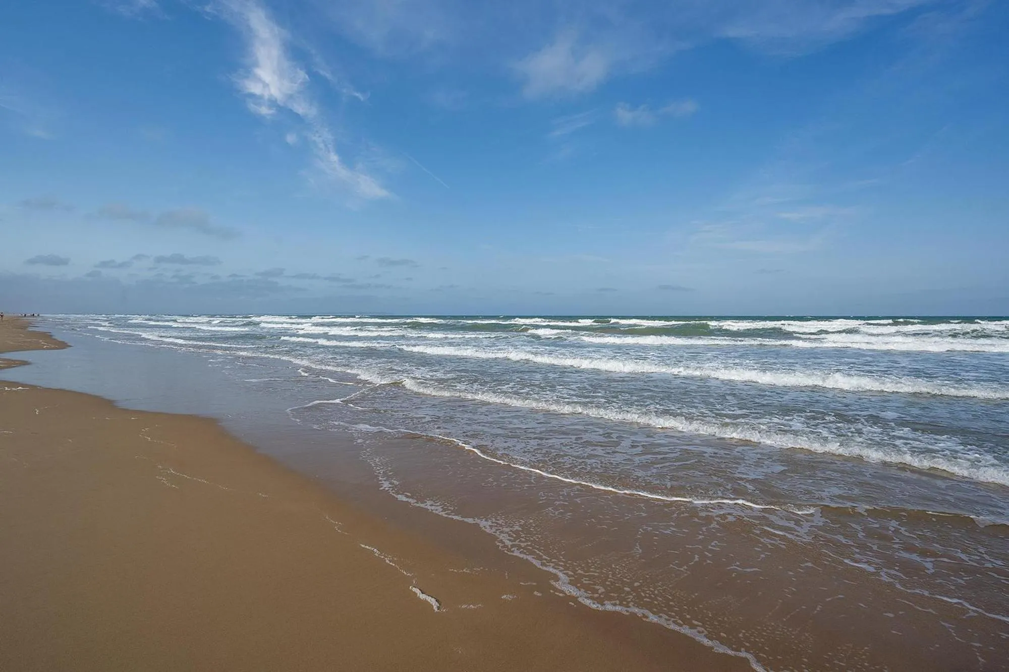 Natural landscape in Hotel Playas de Guardamar