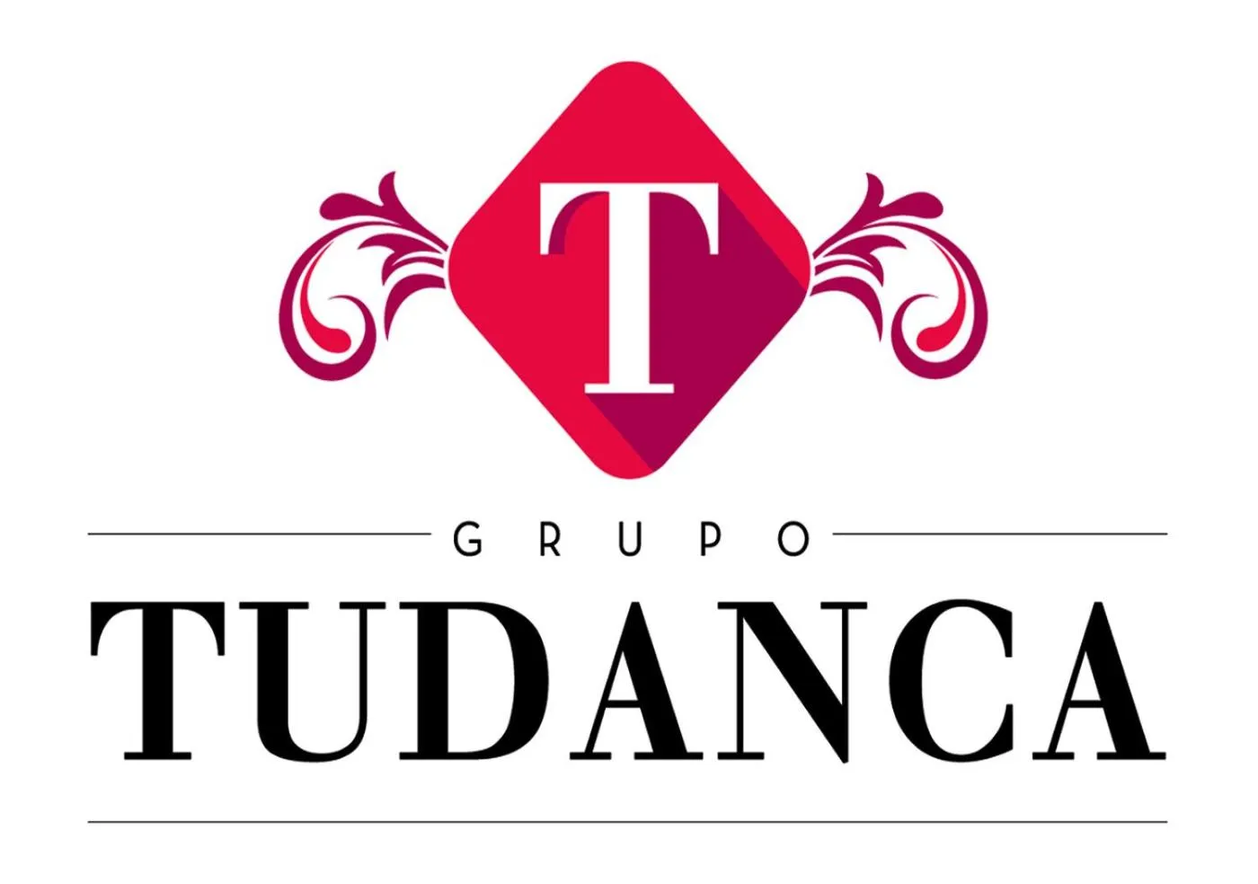 Property logo or sign in Hotel Tudanca-Aranda II