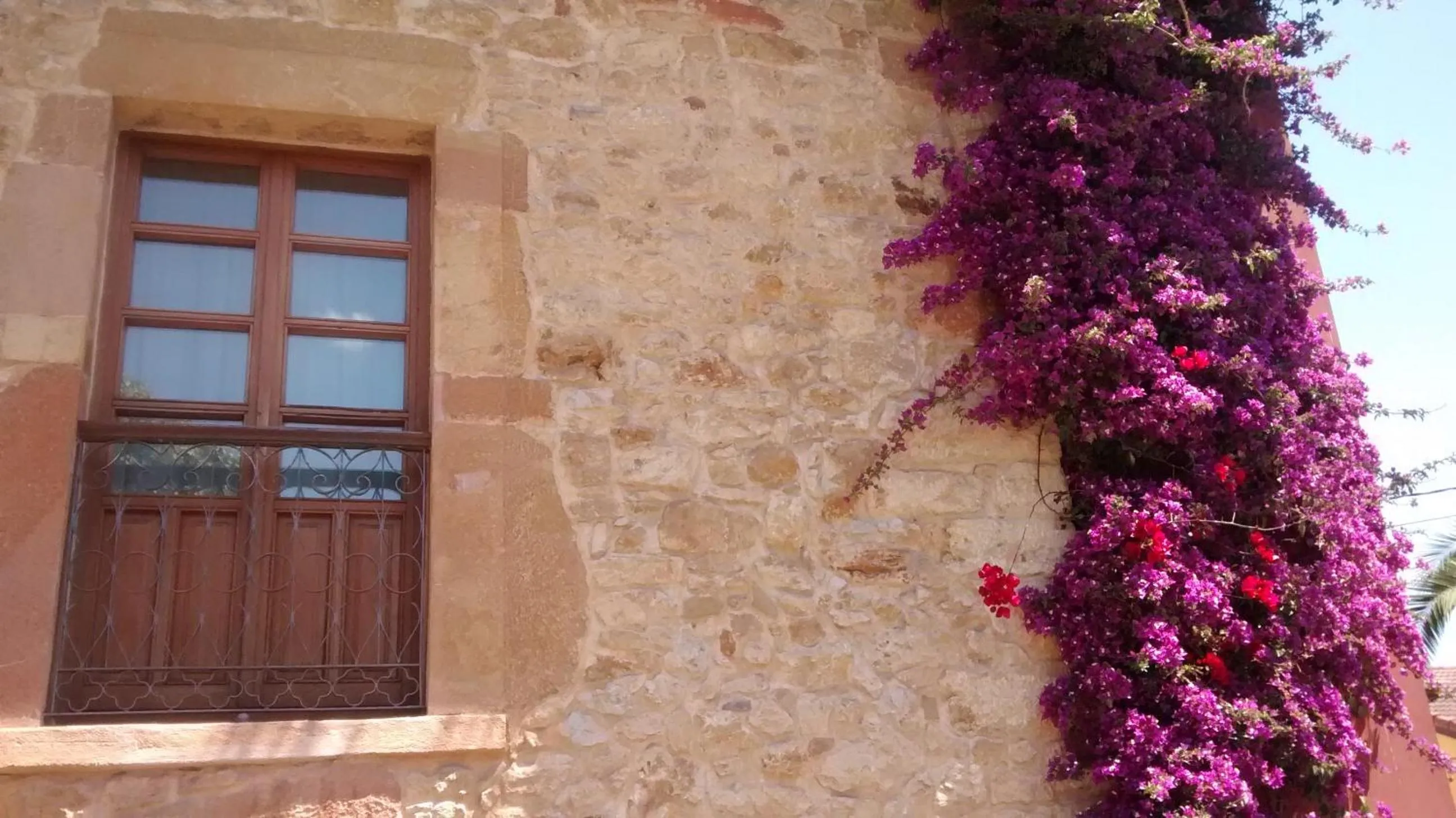 Facade/entrance in Hotel Palacio De La Viñona