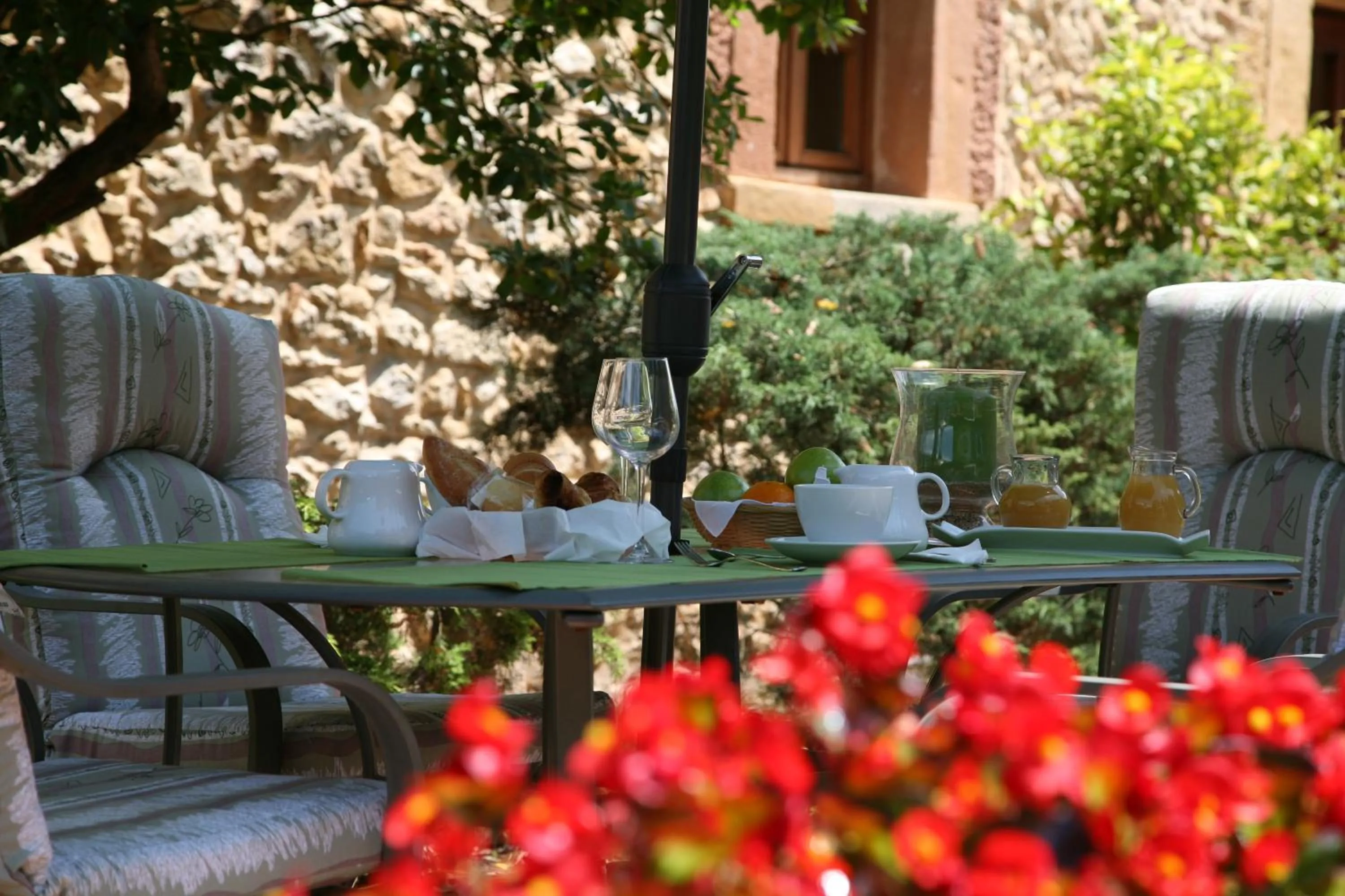 Garden in Hotel Palacio De La Viñona