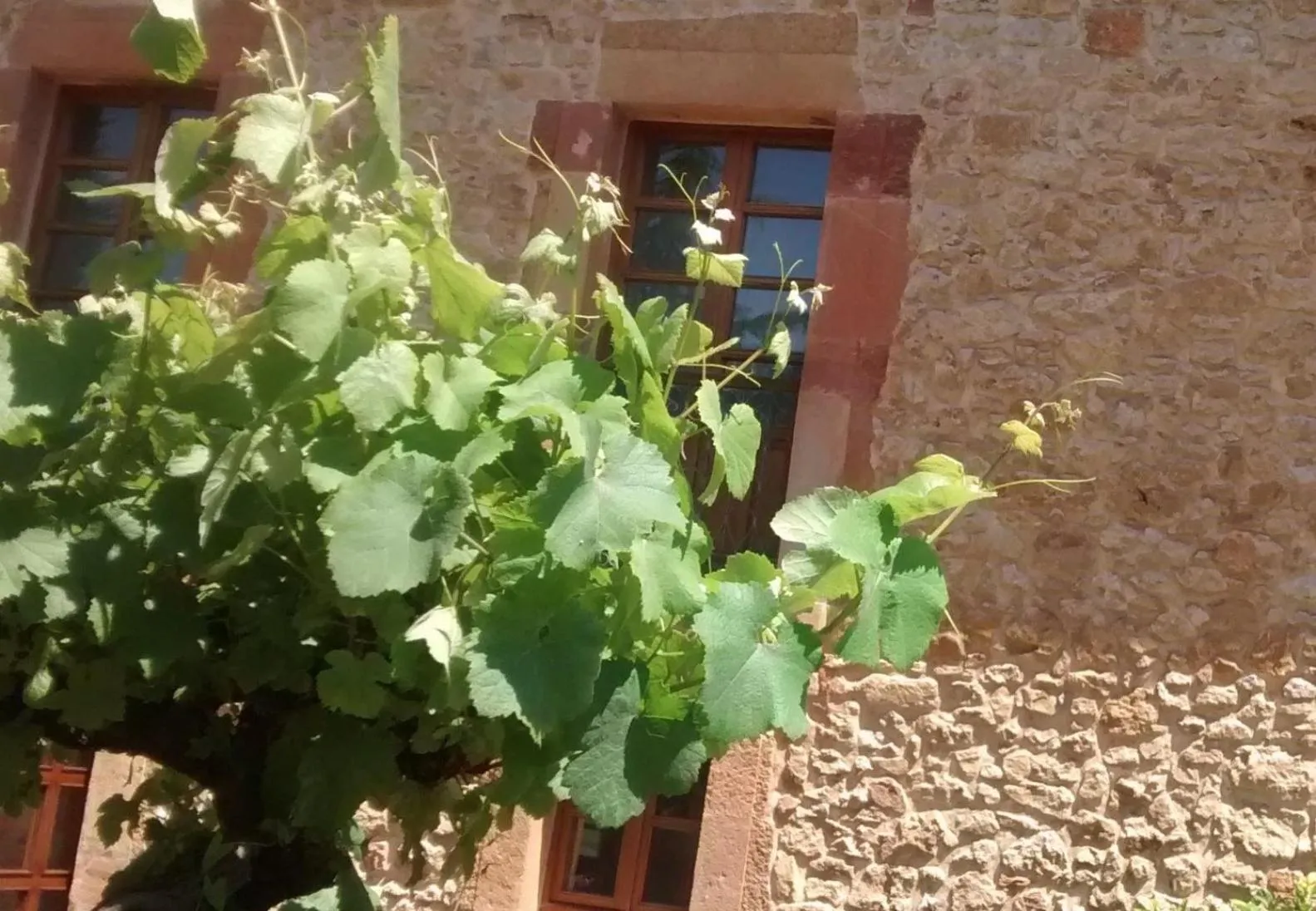 Property building in Hotel Palacio De La Viñona