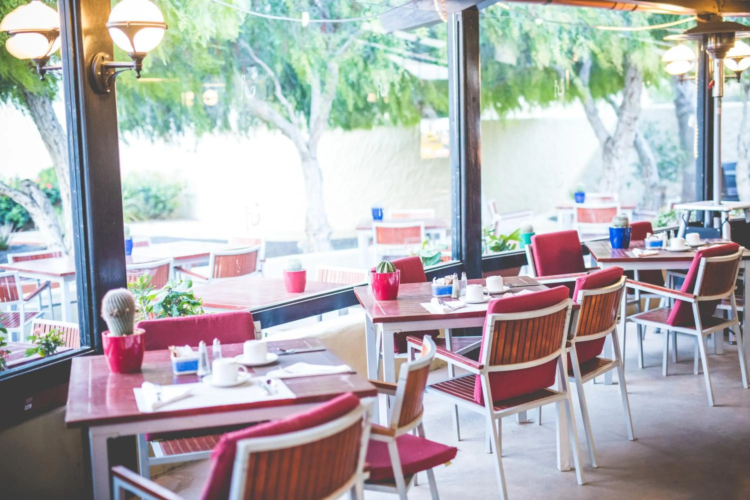 Restaurant/places to eat in Hotel LIVVO Risco del Gato Suites