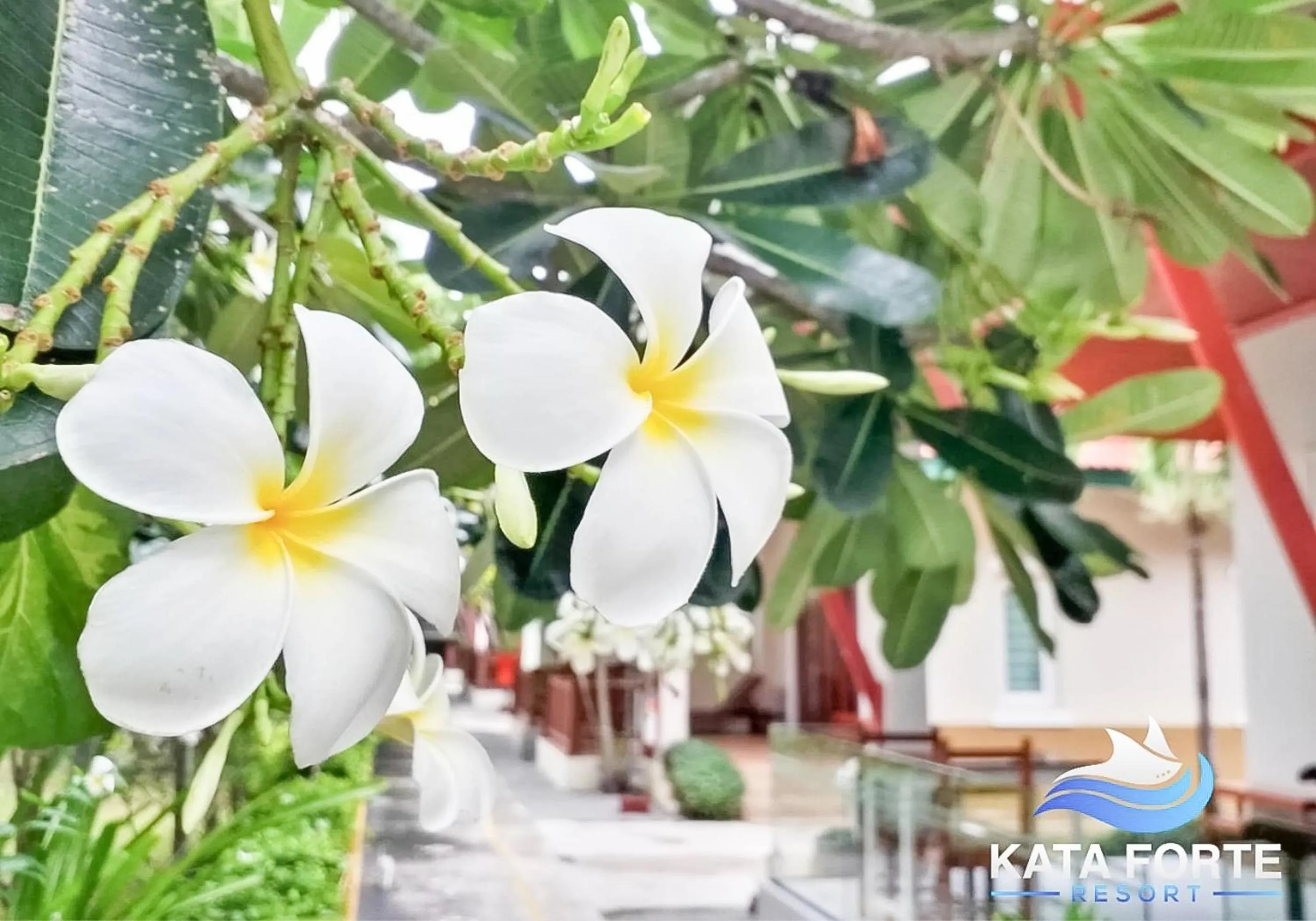 Garden view in Kata Forte Resort