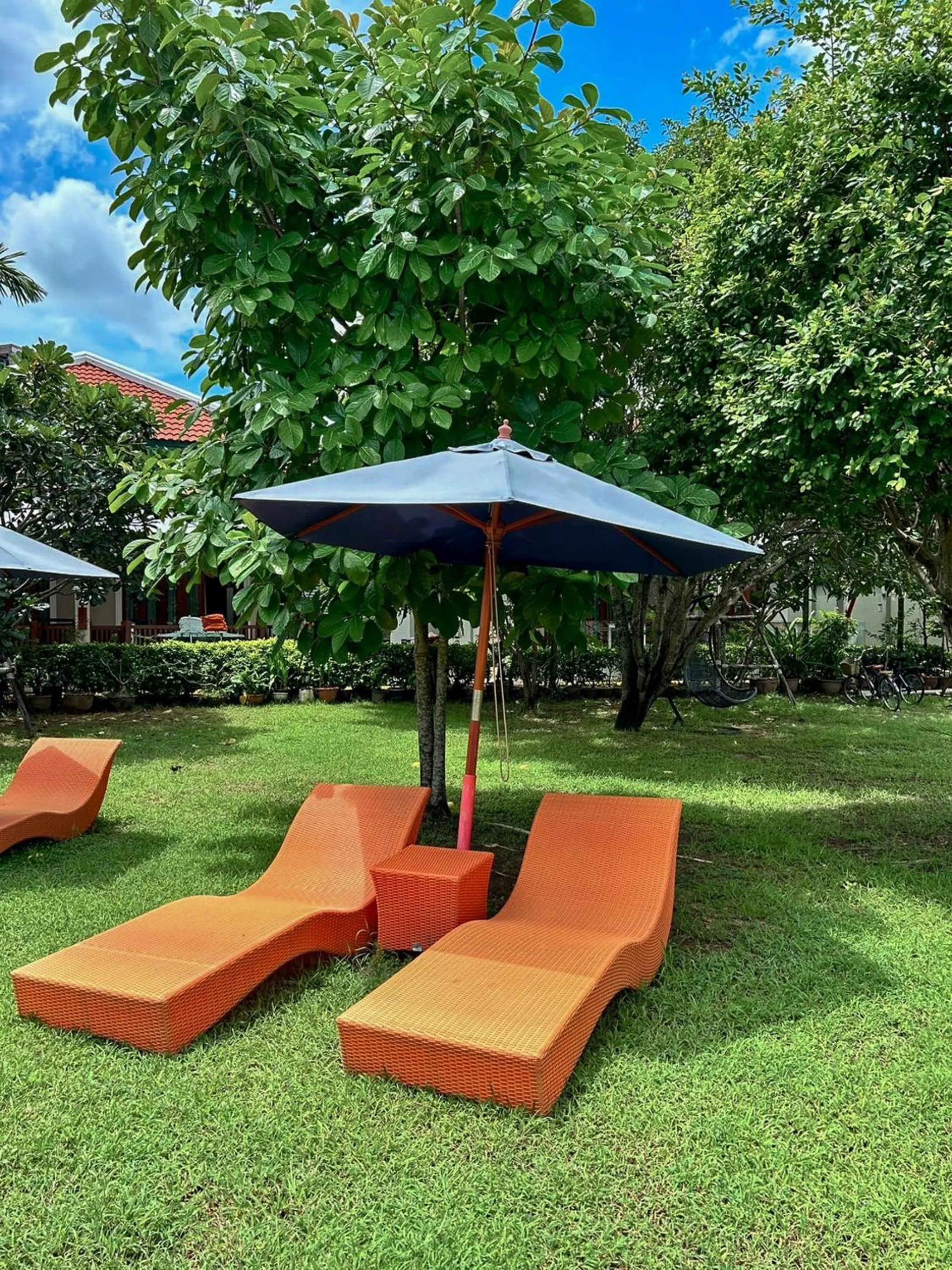 Garden in Kata Forte Resort