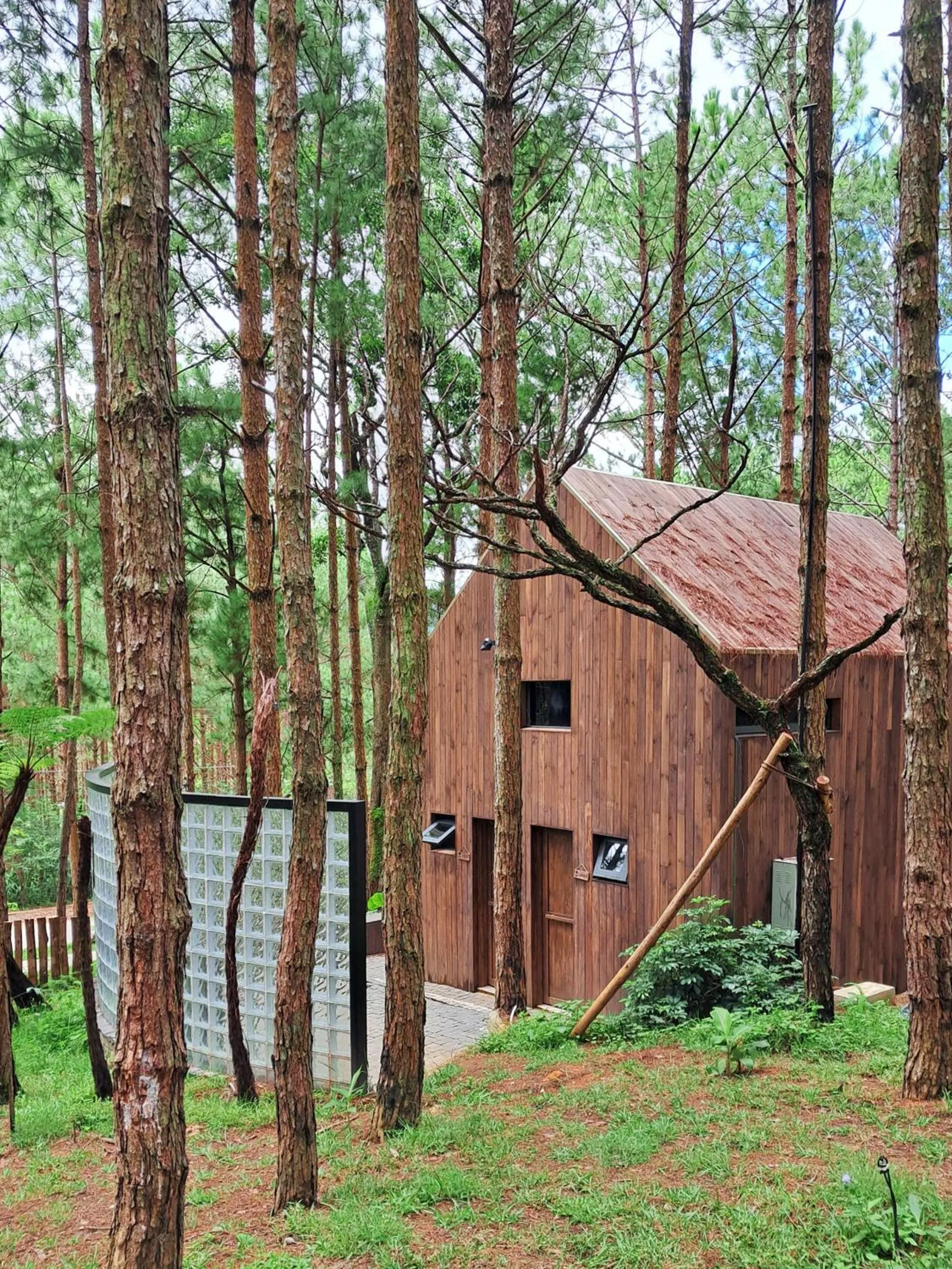Property building in Mơ Stay - Forest Resort
