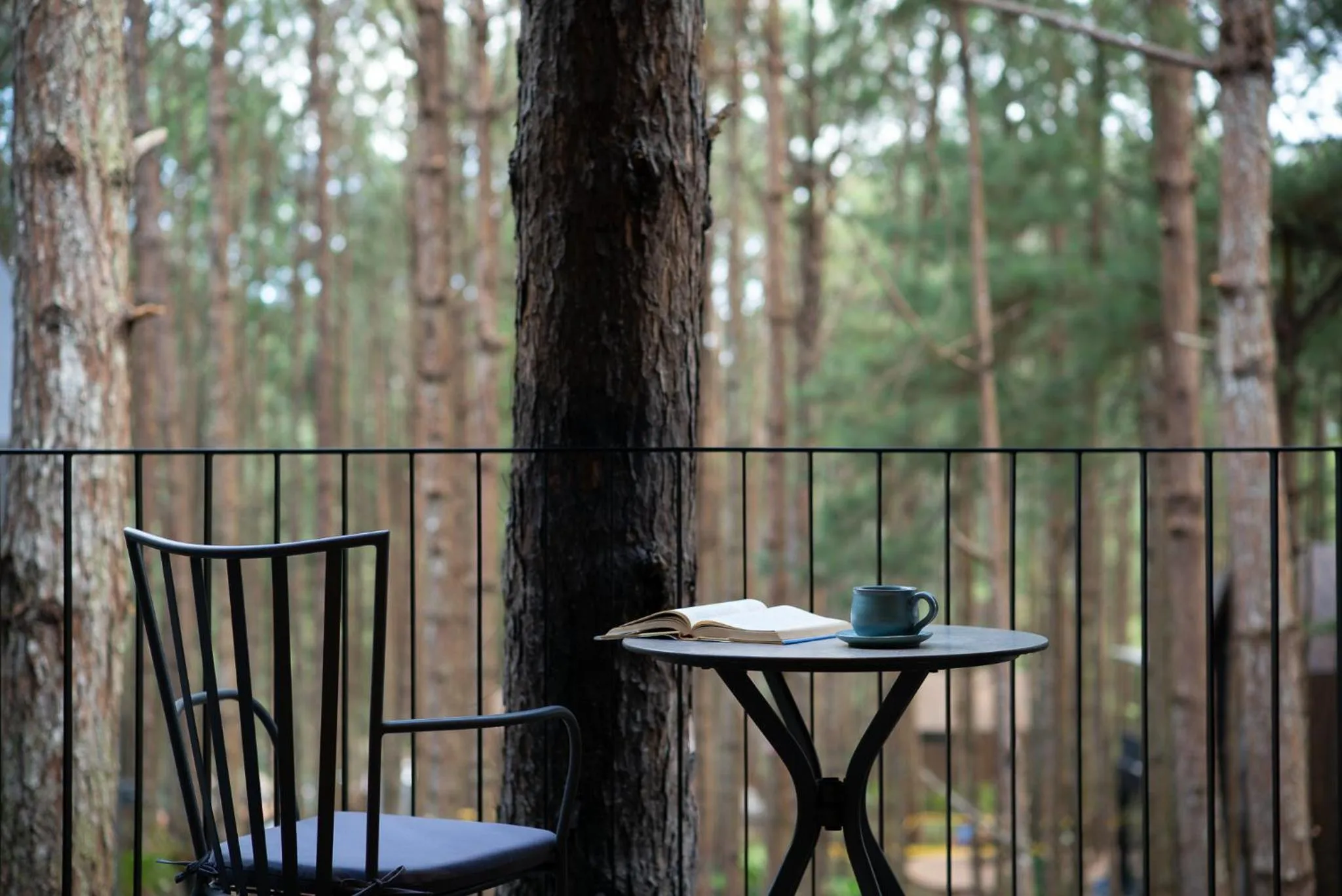 Balcony/Terrace in Mơ Stay - Forest Resort