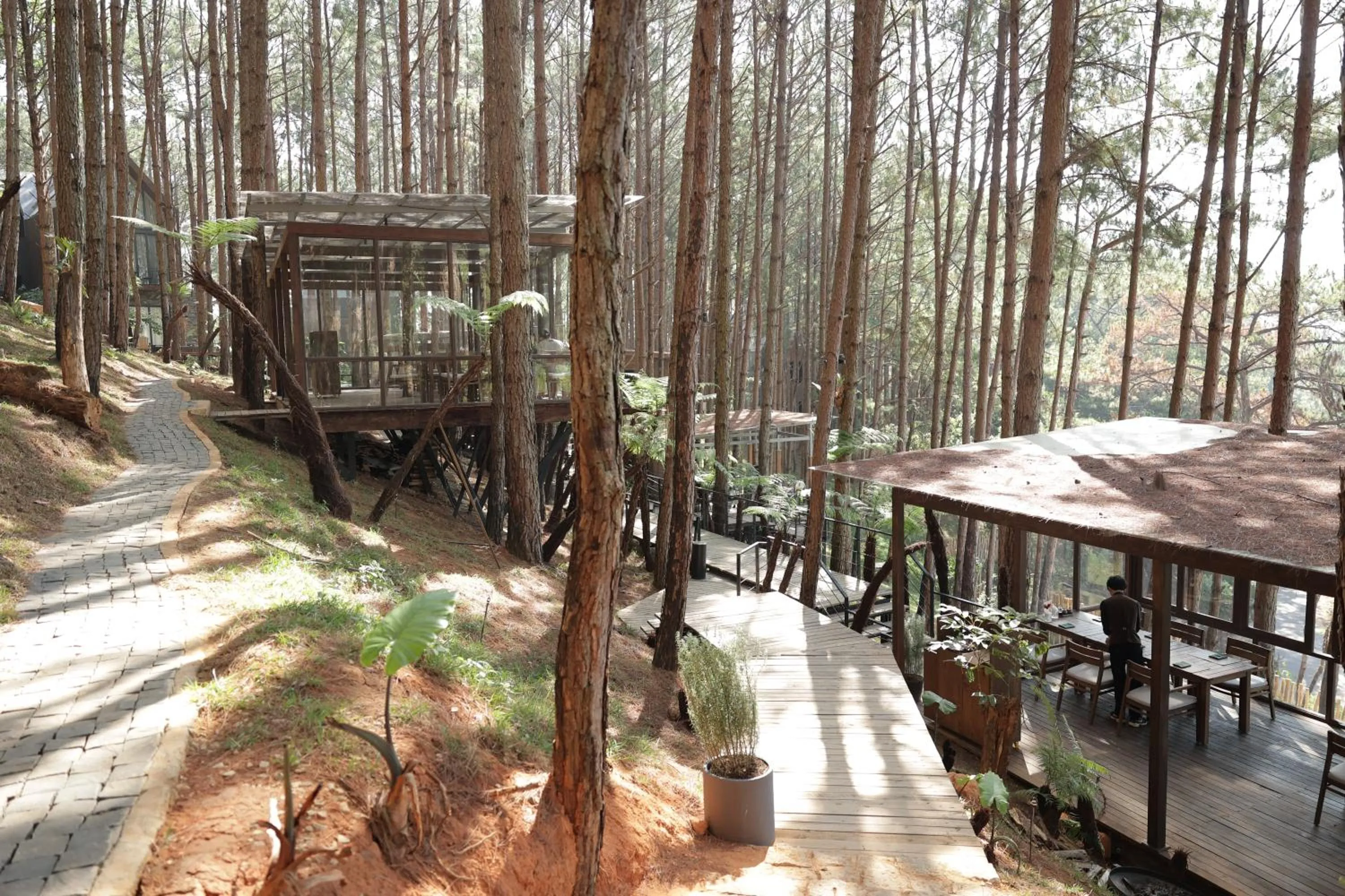Restaurant/places to eat in Mơ Stay - Forest Resort