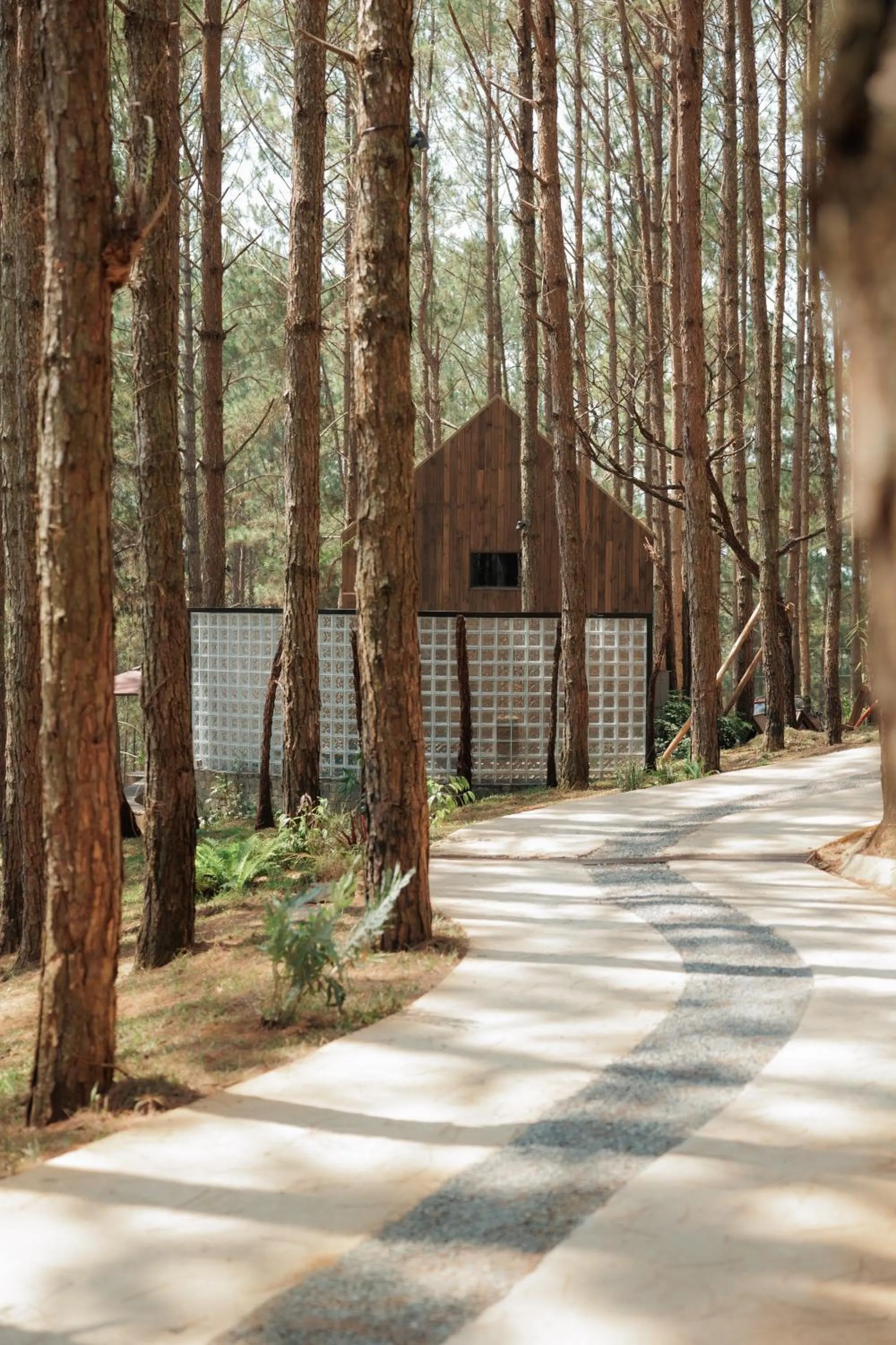 Facade/entrance in Mơ Stay - Forest Resort
