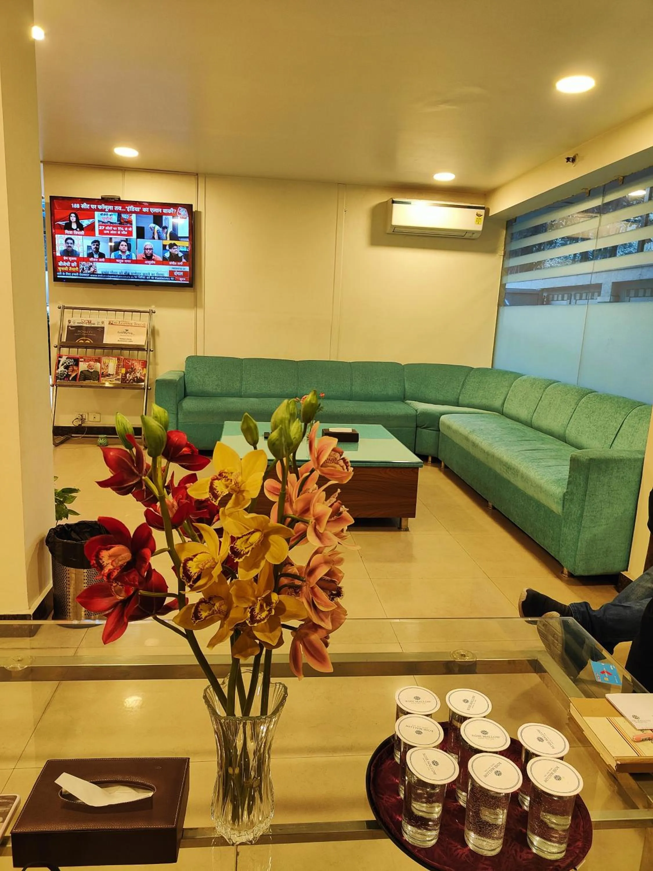TV and multimedia in Rosemallow Hotel New Delhi