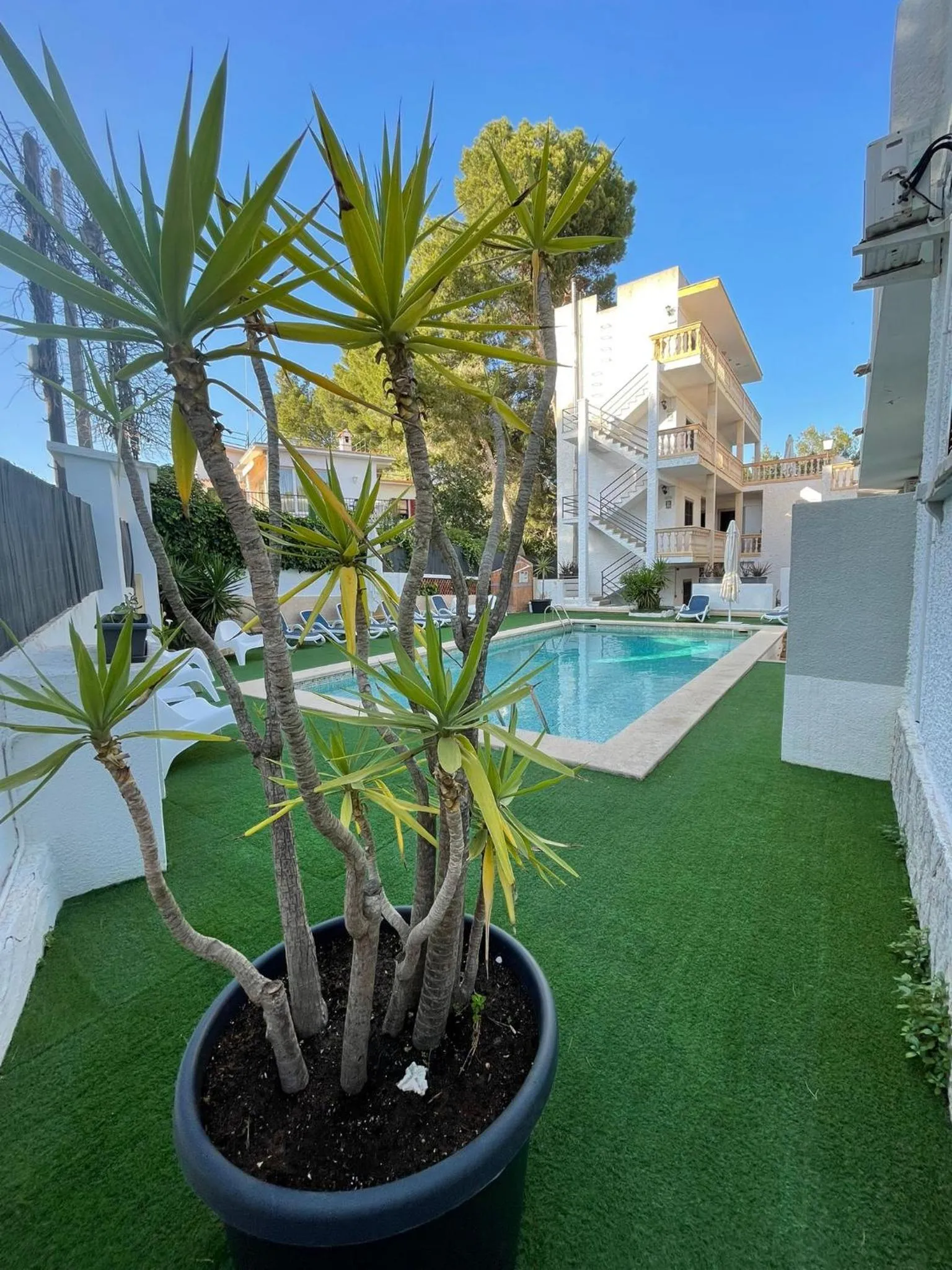 Property building in Don Carlos