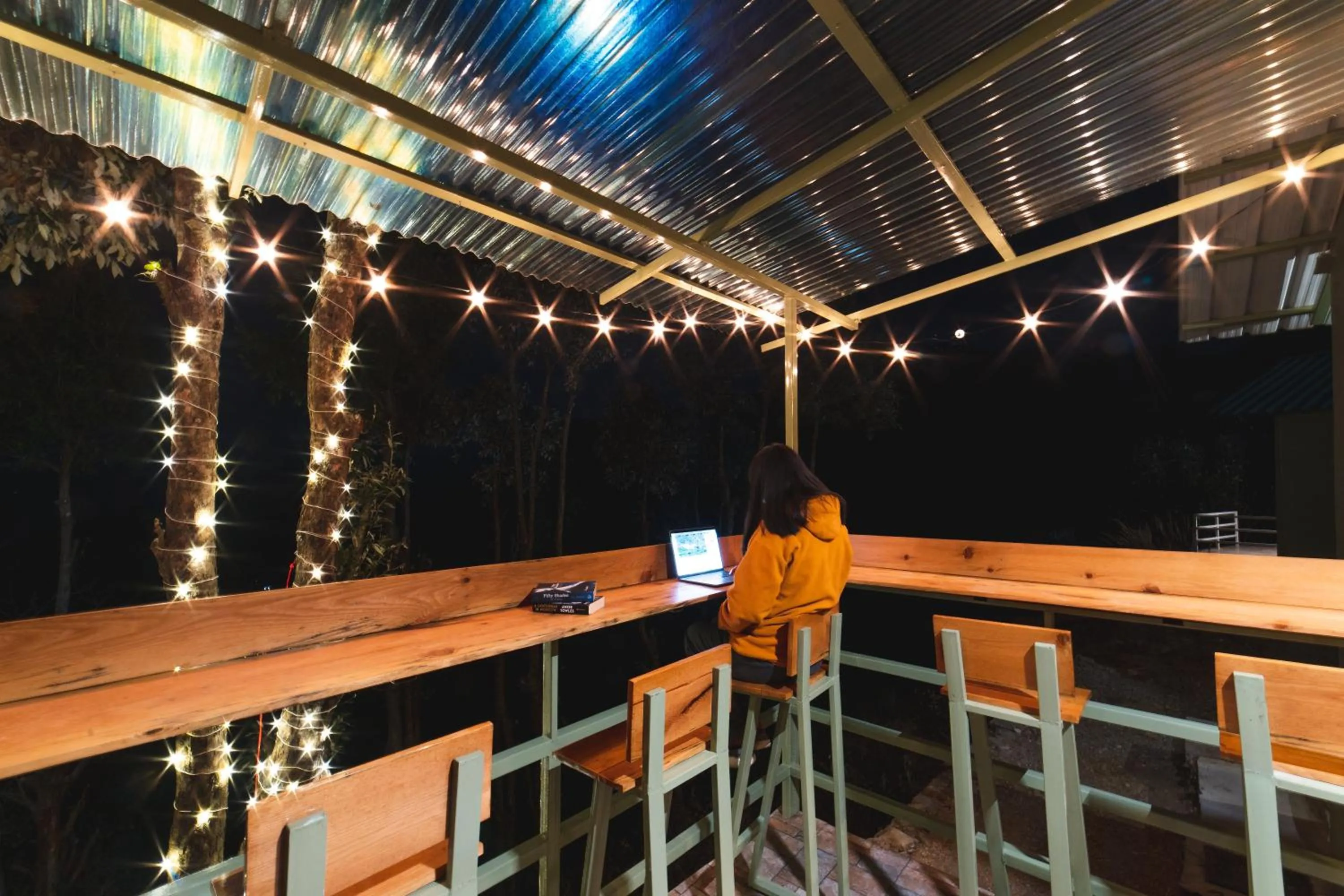 Night in Zostel Plus Nainital, Naina Range