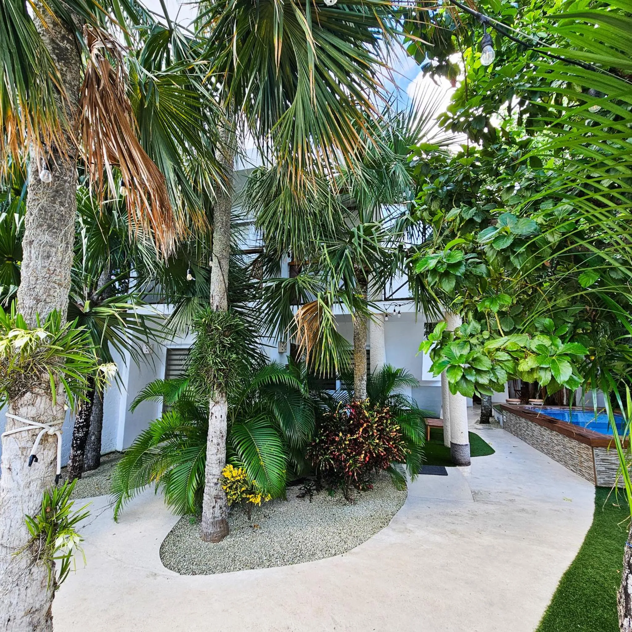 Garden in SAYU - Suites