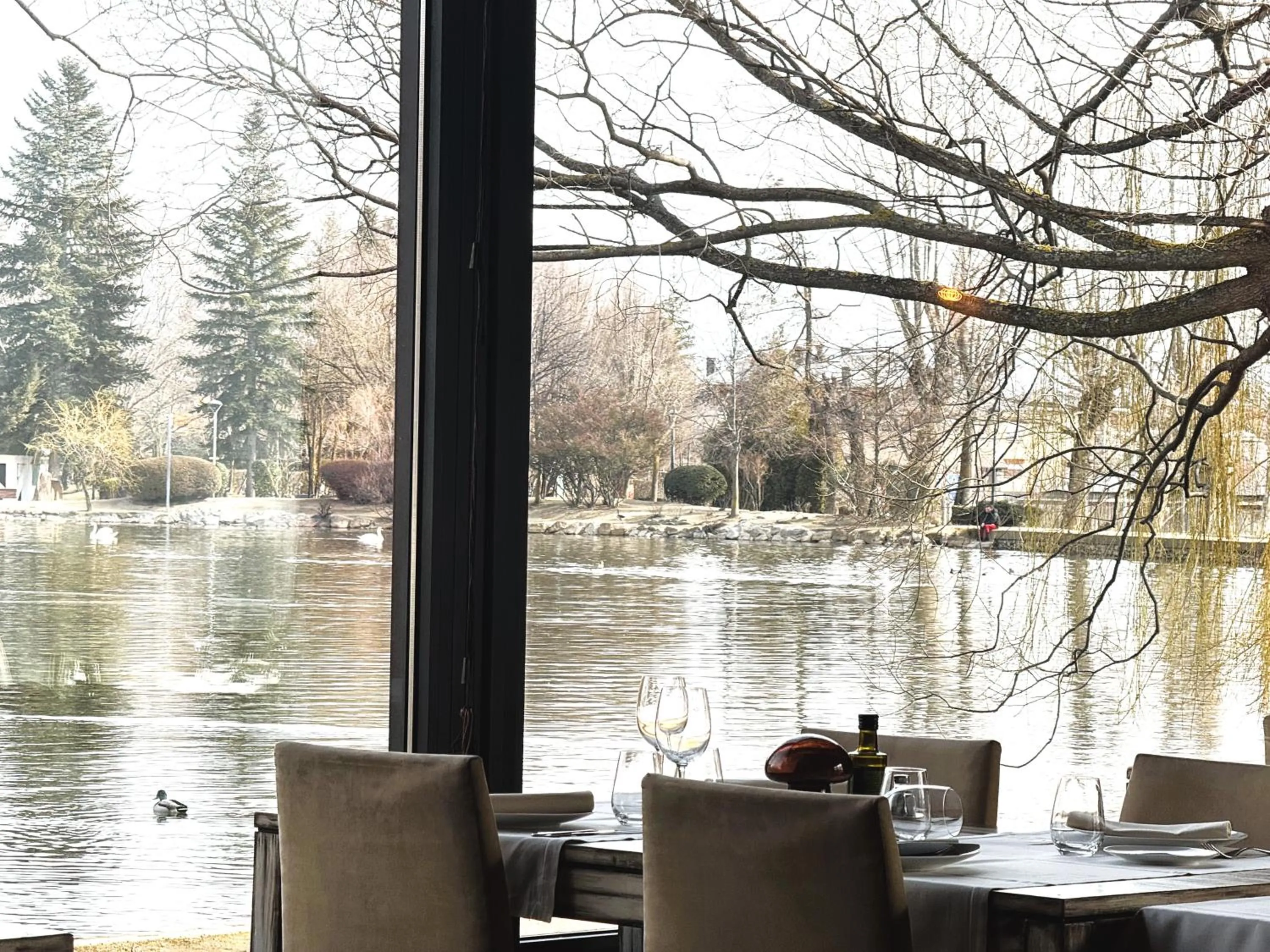 Restaurant/places to eat in Hotel Villa Paulita