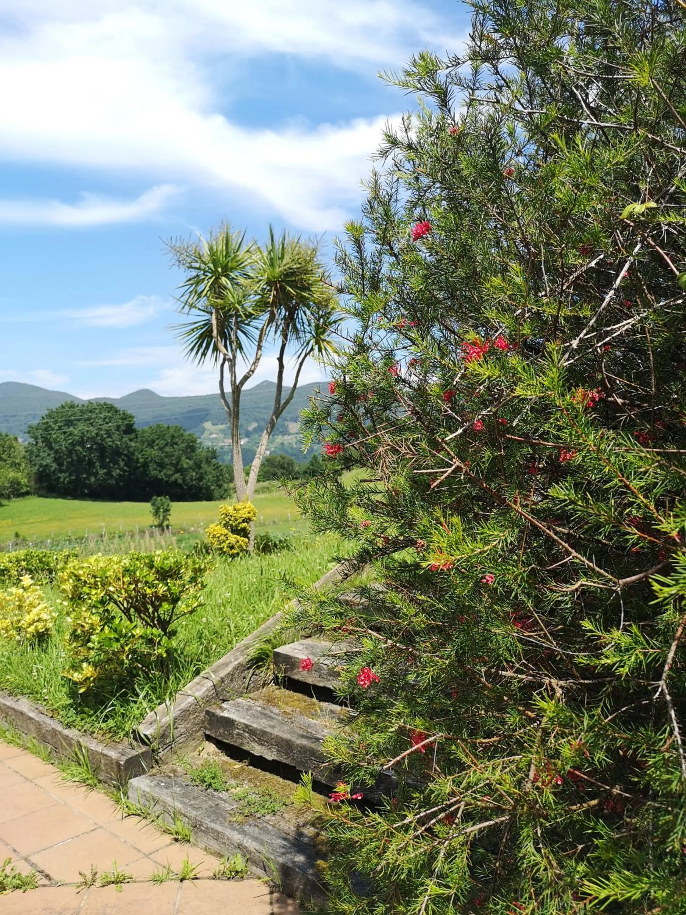 Garden in Hotel Ibaigune
