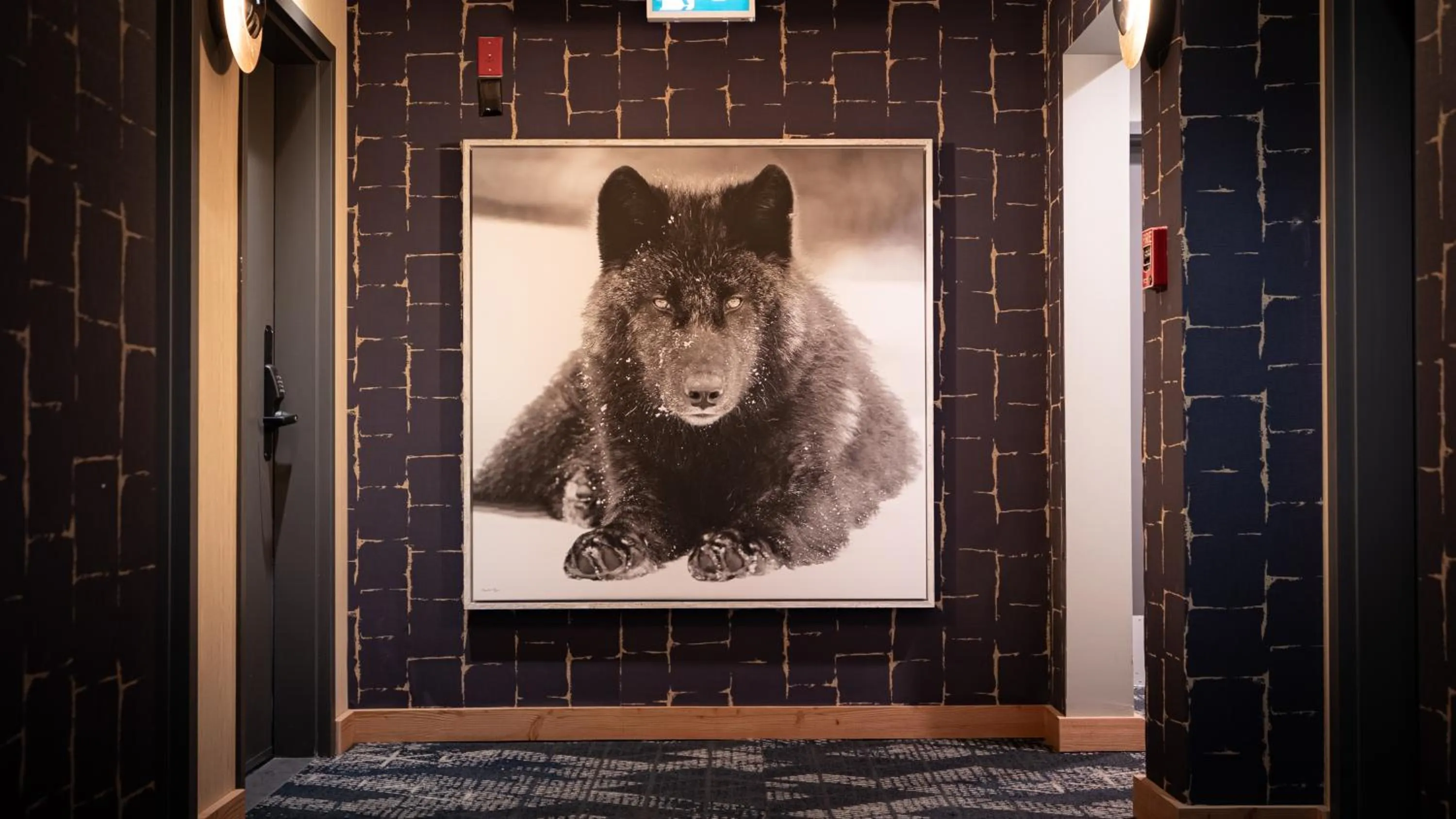 Lobby or reception in MTN House By Basecamp