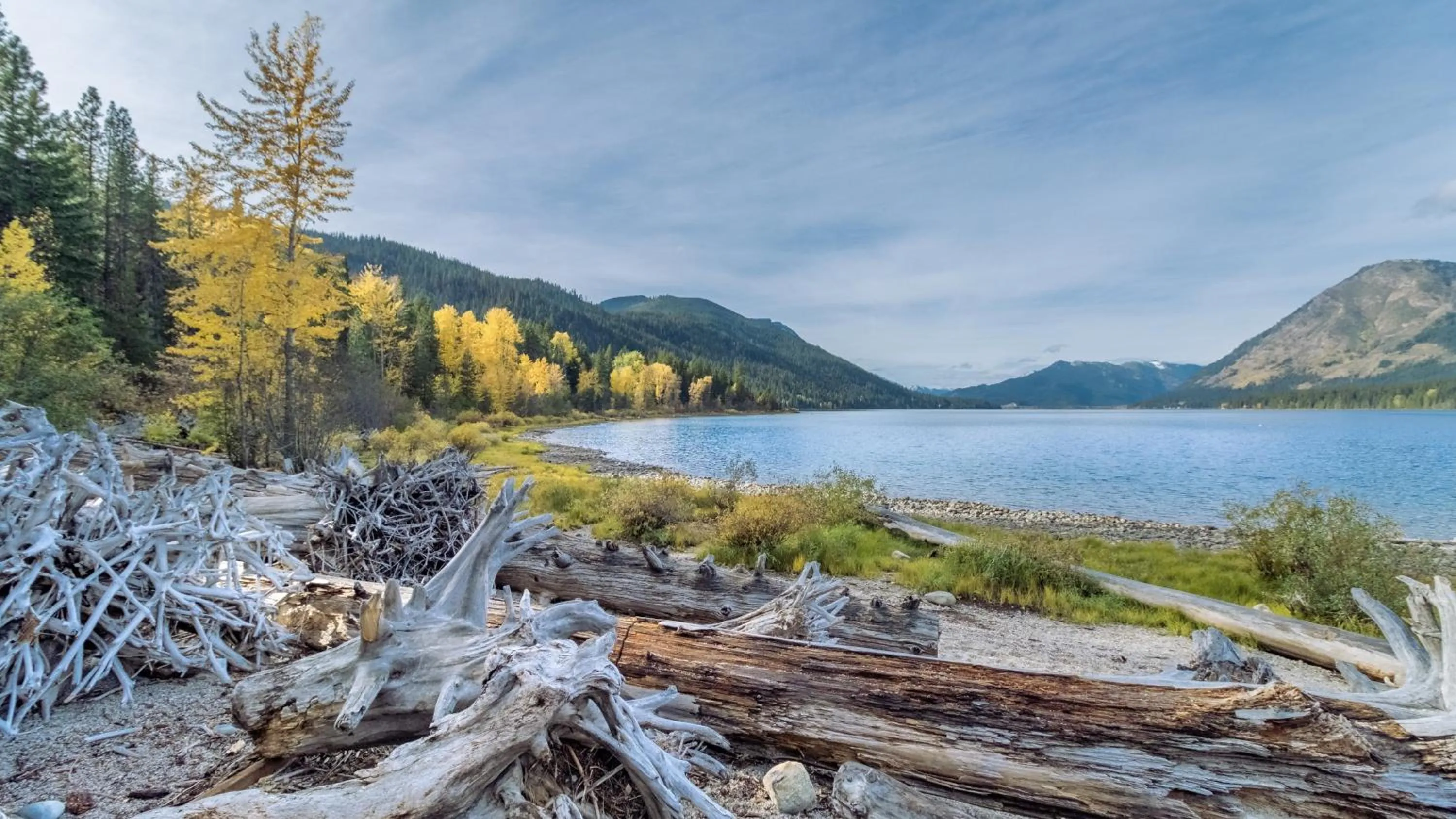 Camp David by NW Comfy Cabins