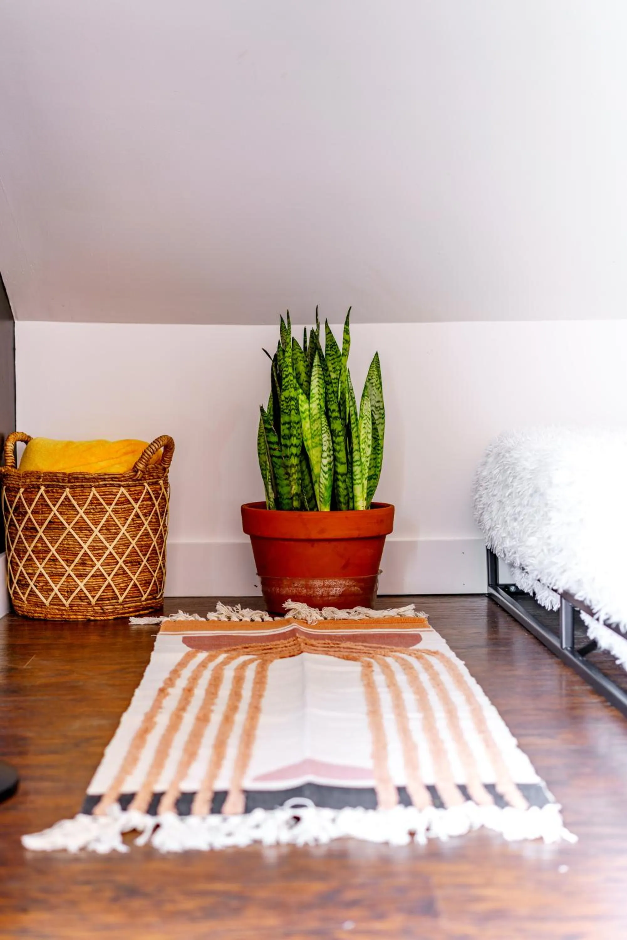 Jungle House Luxury Stays - Downtown Chillicothe