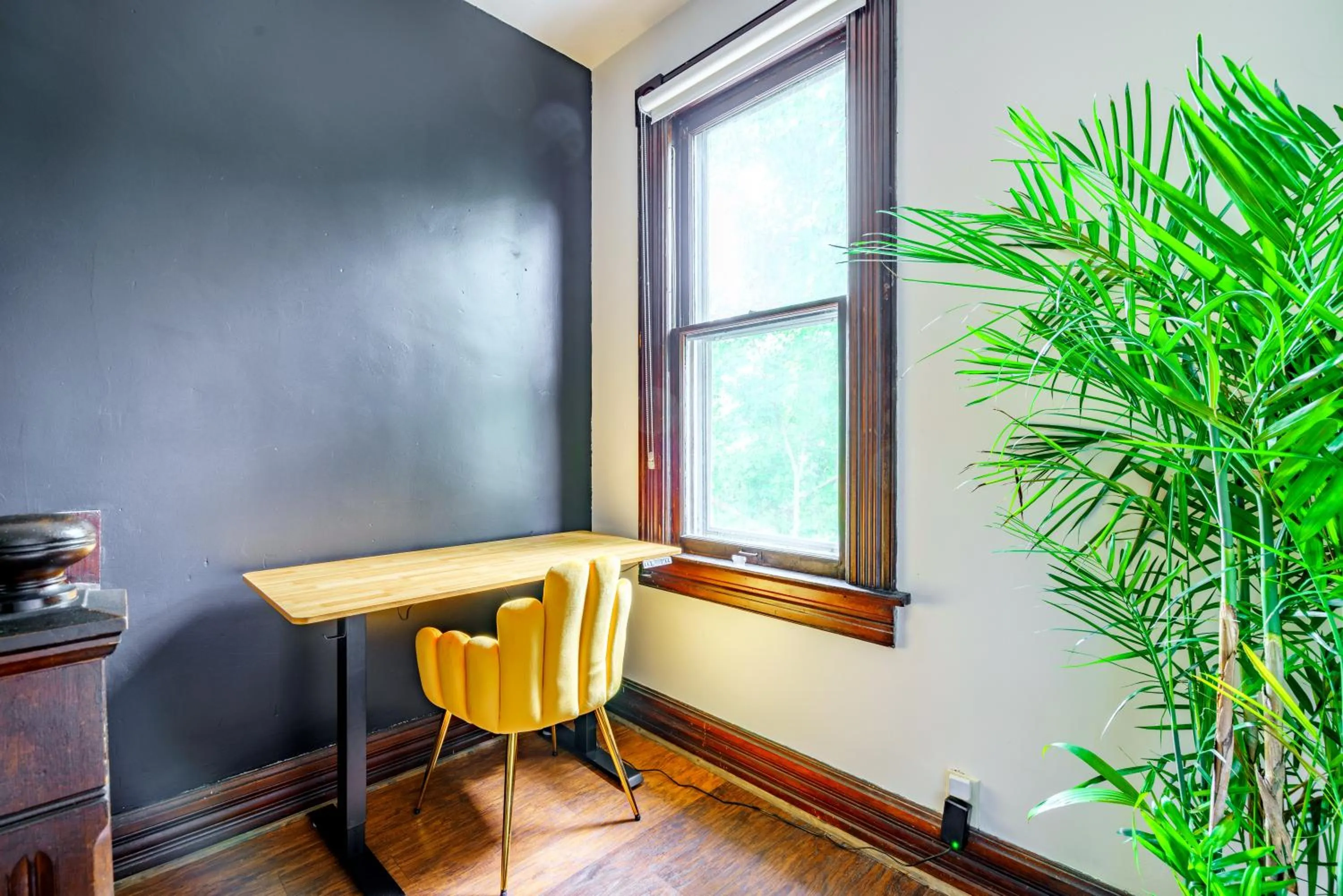 Jungle House Luxury Stays - Downtown Chillicothe