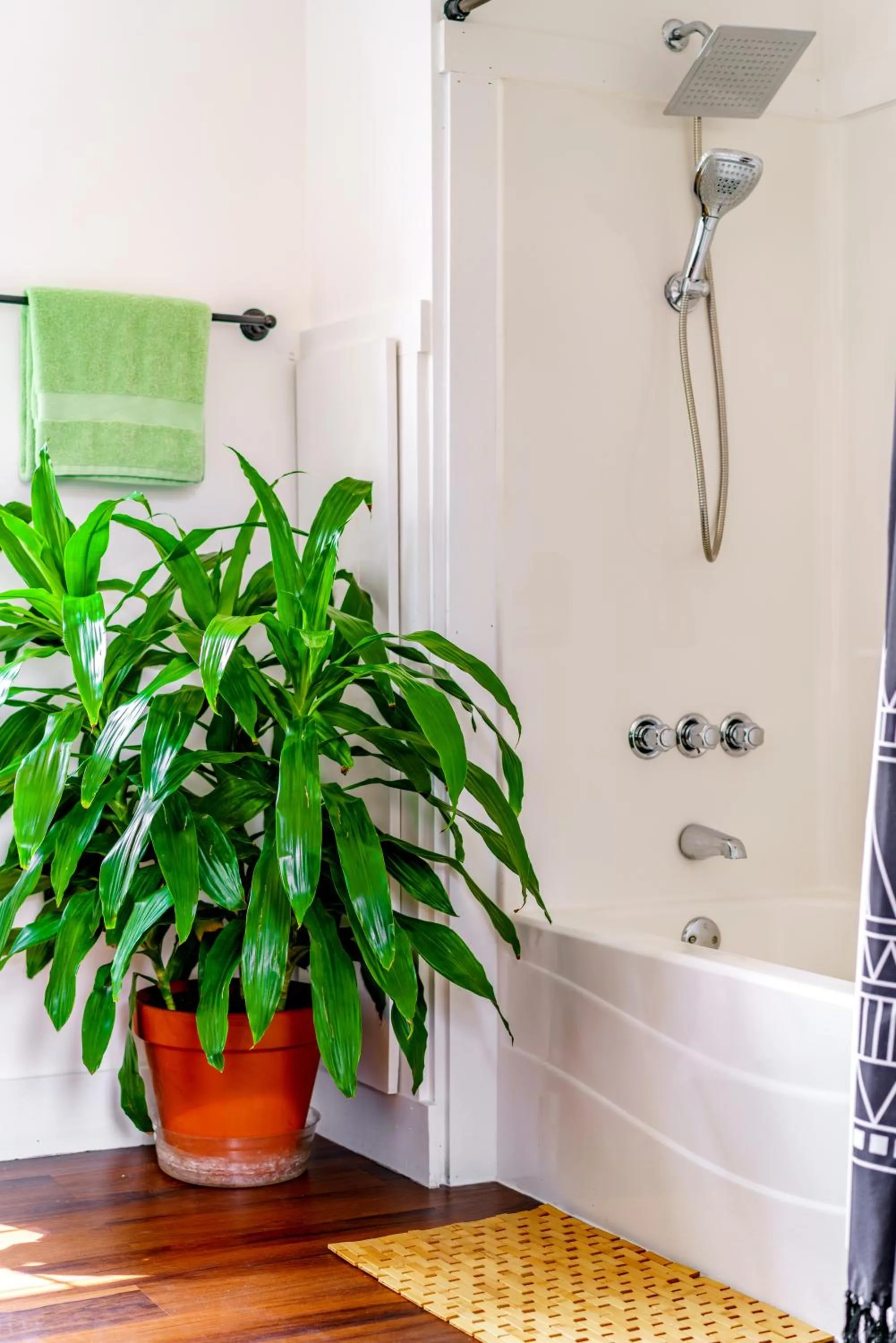 Jungle House Luxury Stays - Downtown Chillicothe